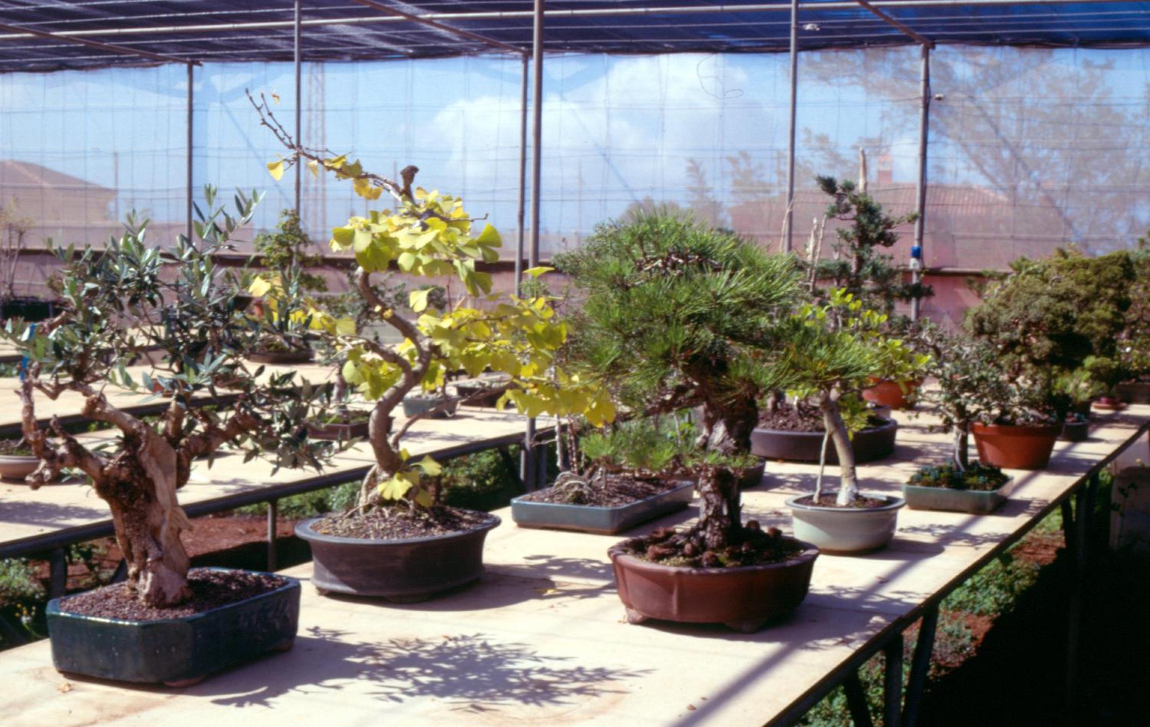 Photo 30