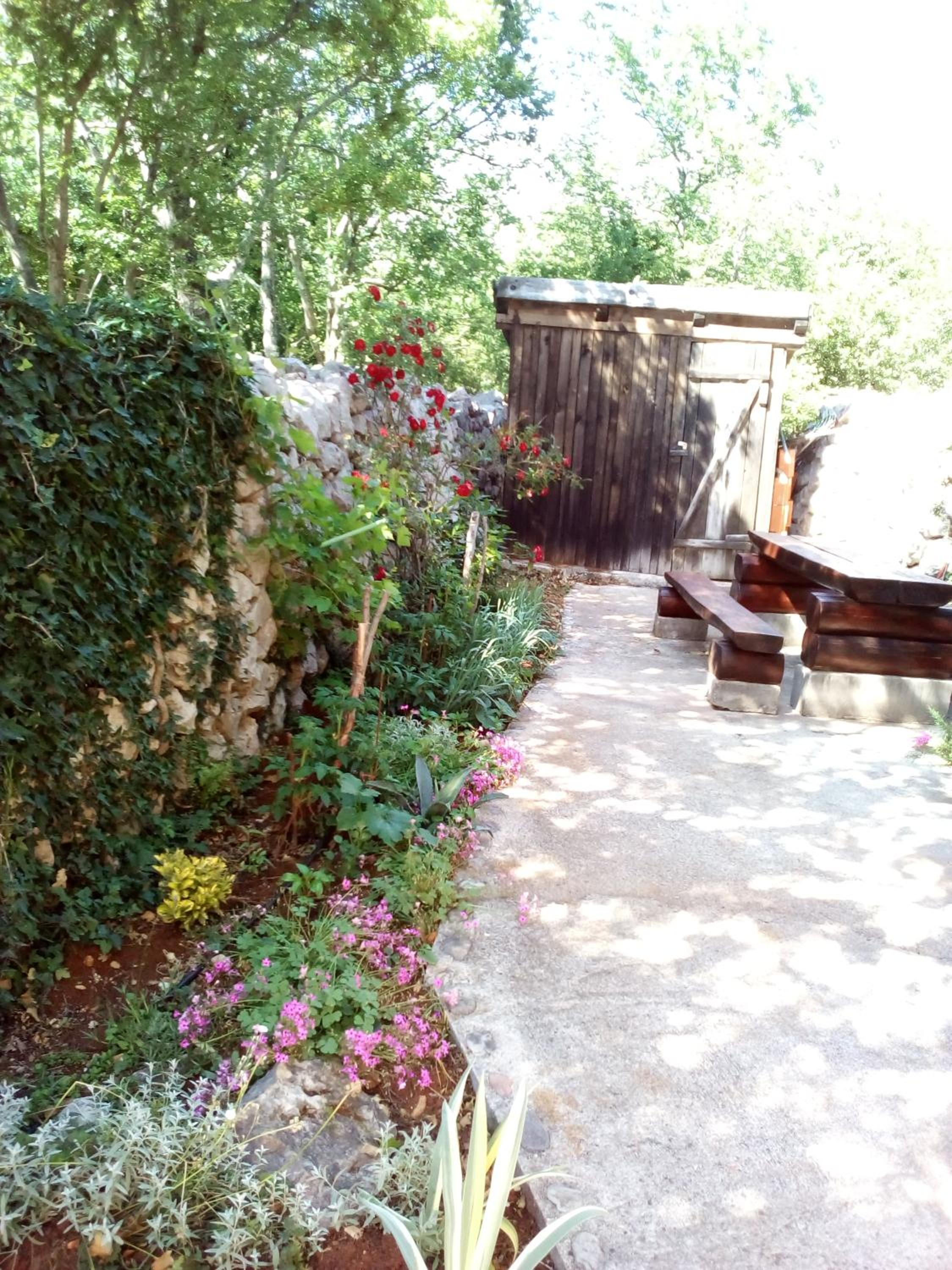 Photo 18