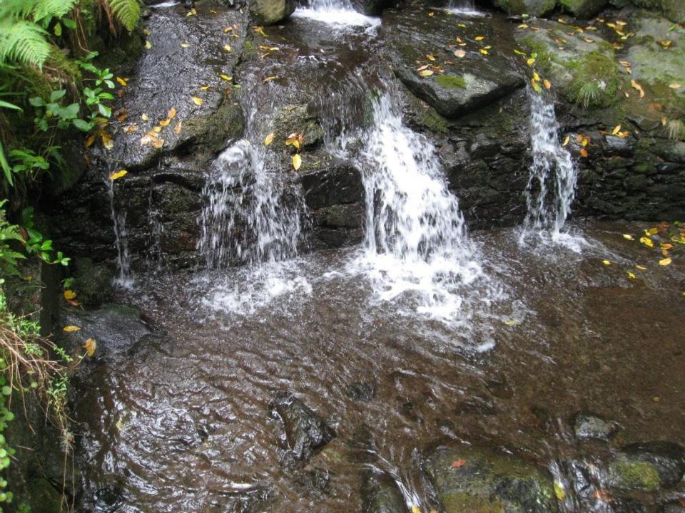 Photo 47