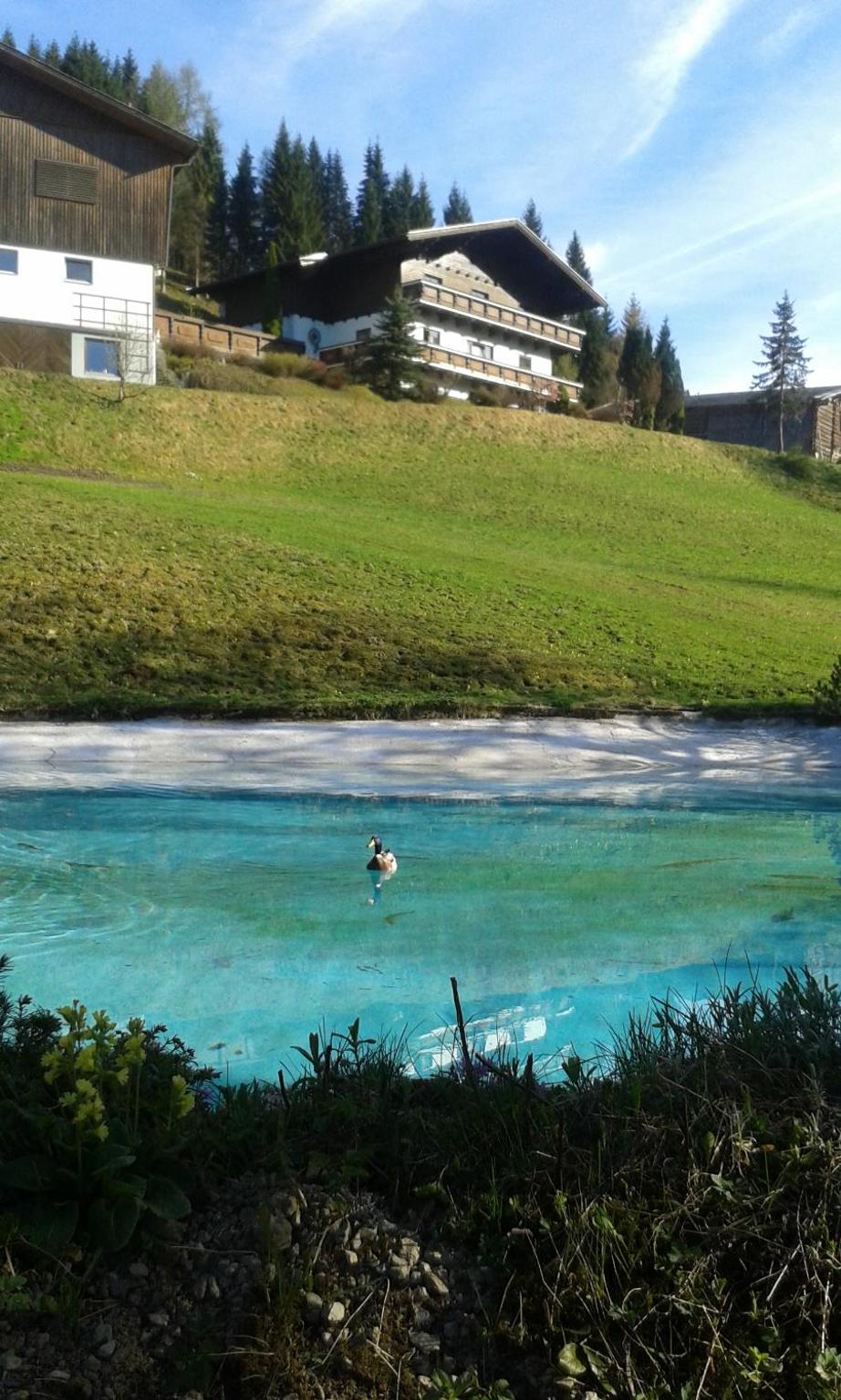 Pension Chalet Bergseegut