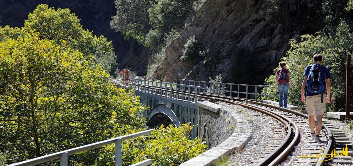 Hotel Oasis by the Sea - Image 1