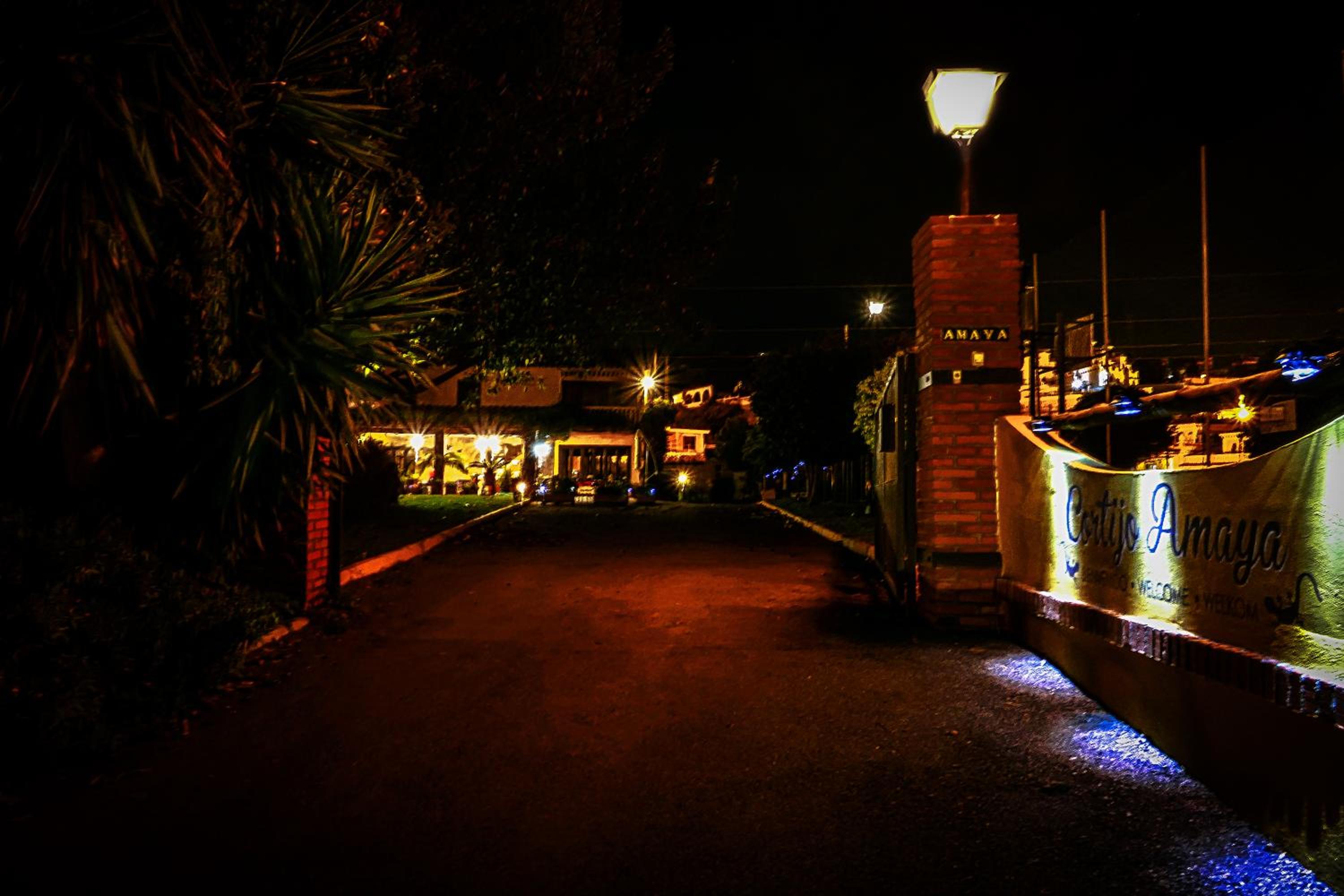 Photo 50
