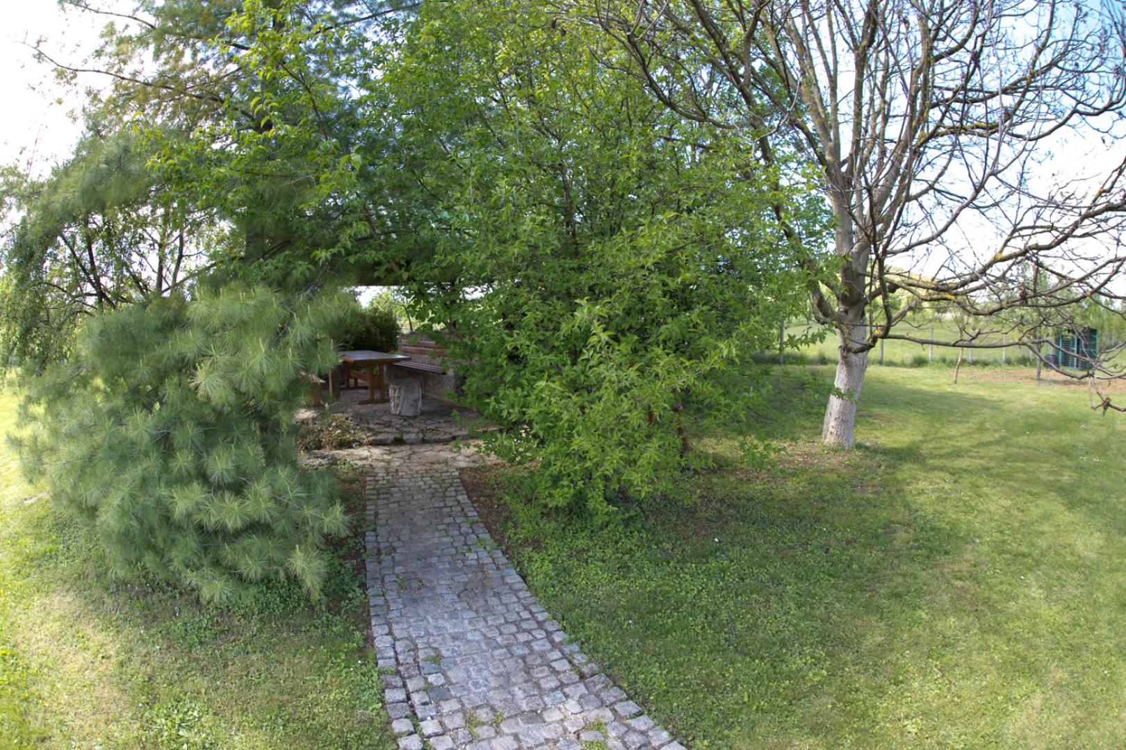 Photo 40