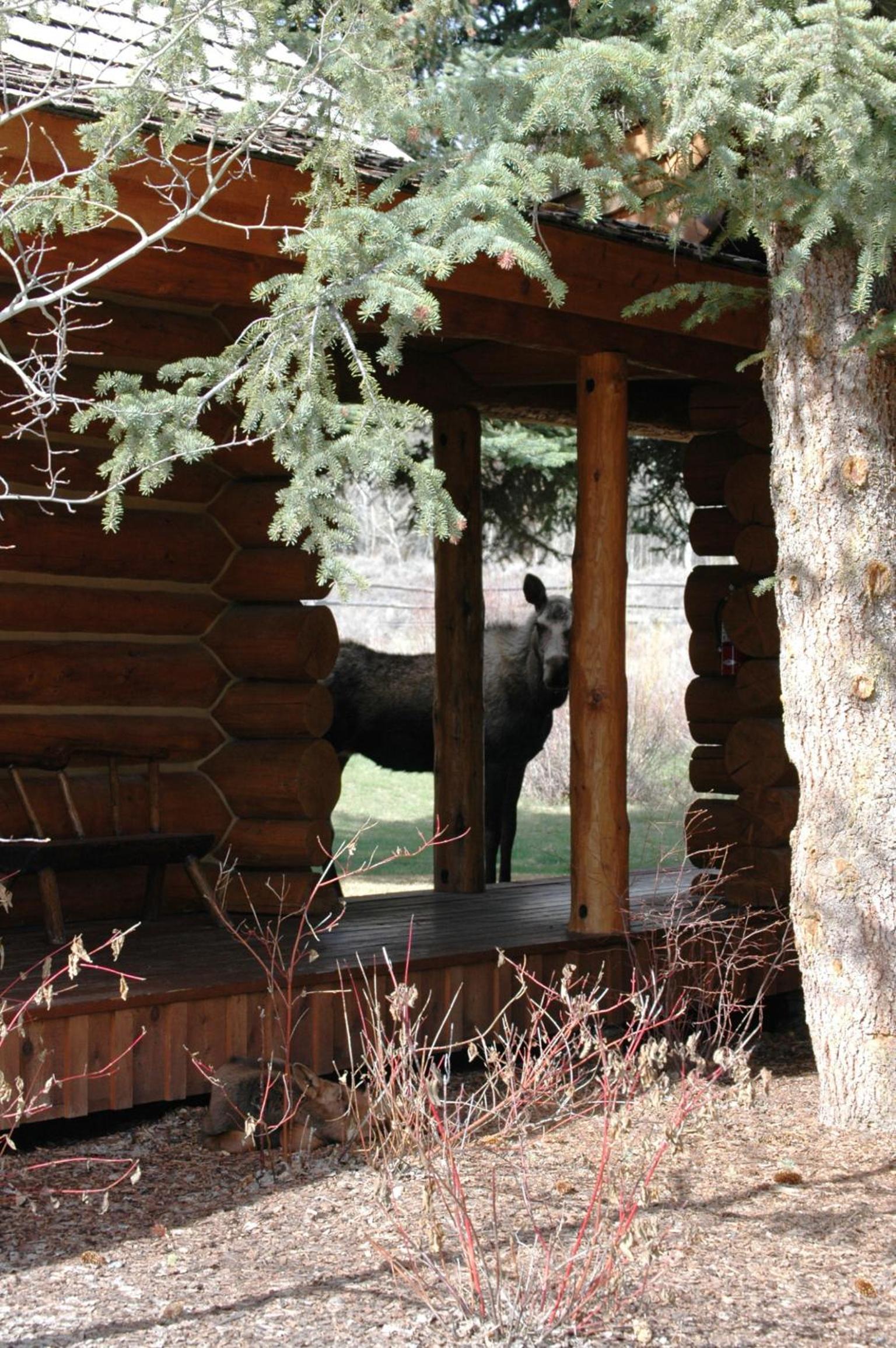 Moran Vacations - The Hatchet Resort - Property Image 6