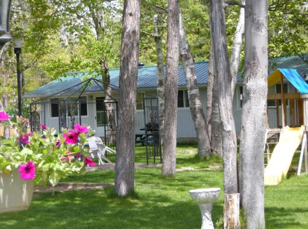 Birch Haven by the Beach