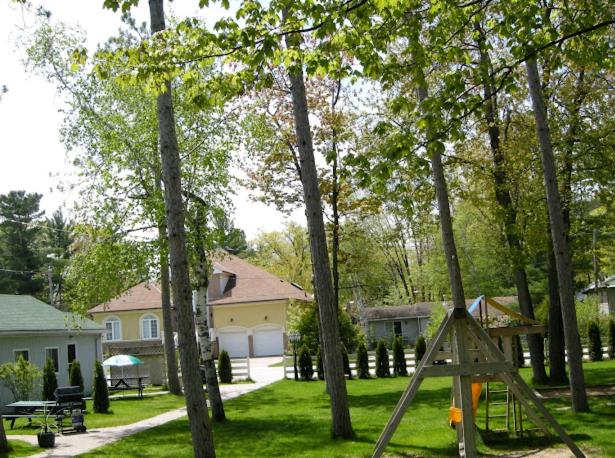 Birch Haven by the Beach