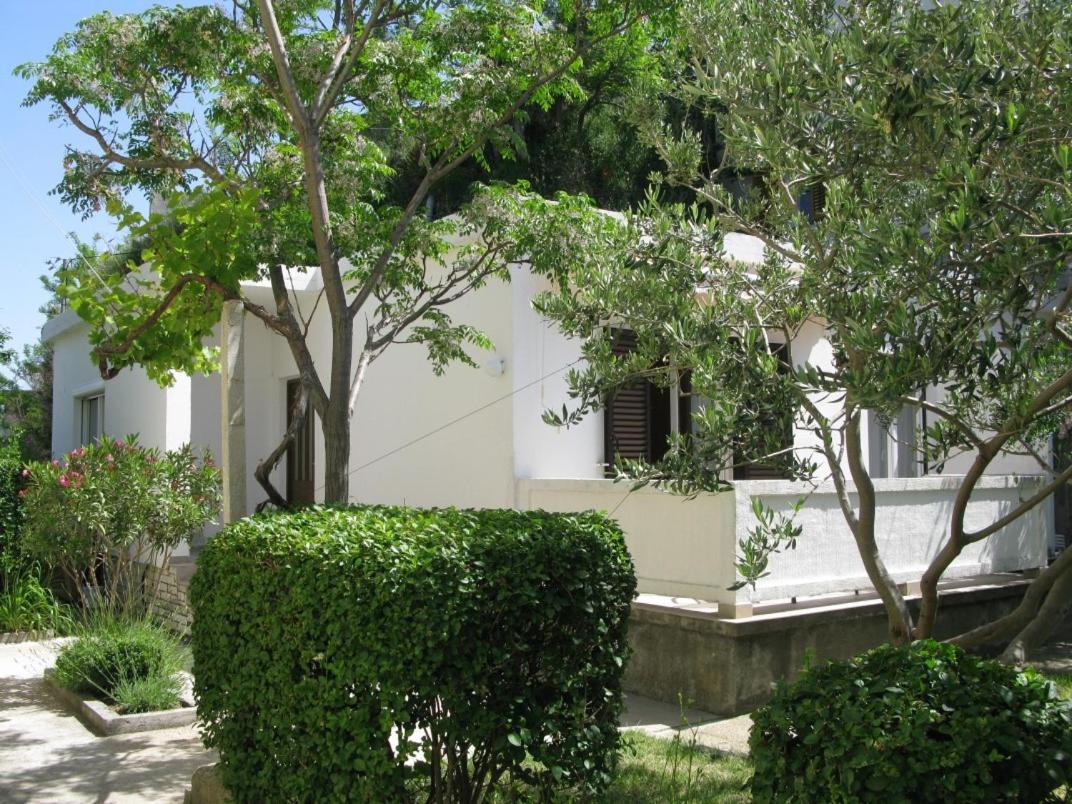 Apartments Vidas