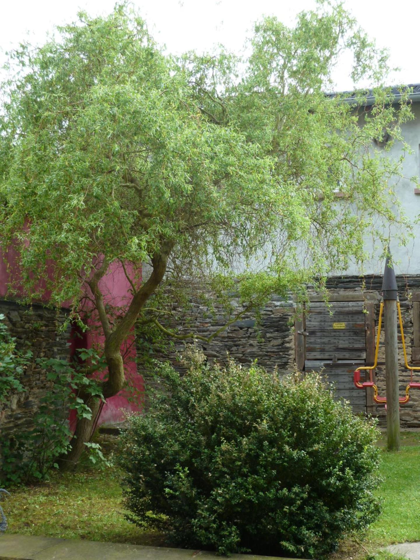 Winzerhaus Andel
