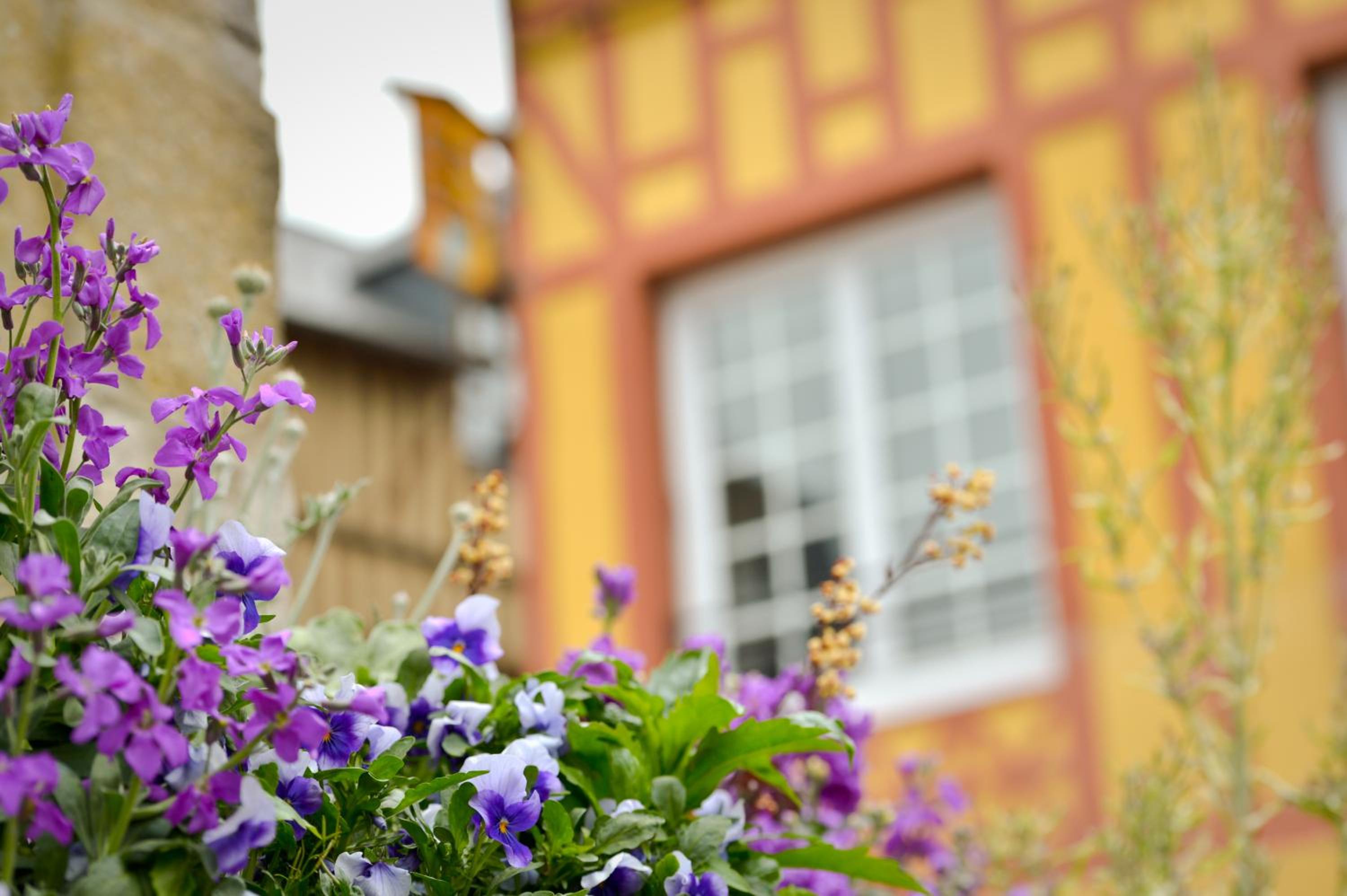 La Maison de Pierre et Valérie Ste Catherine Honfleur, photo 7