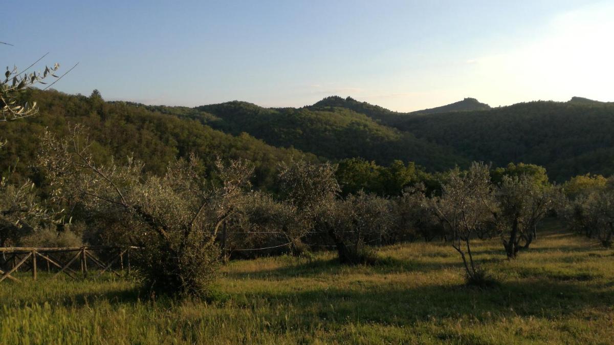 Podere le Muricce