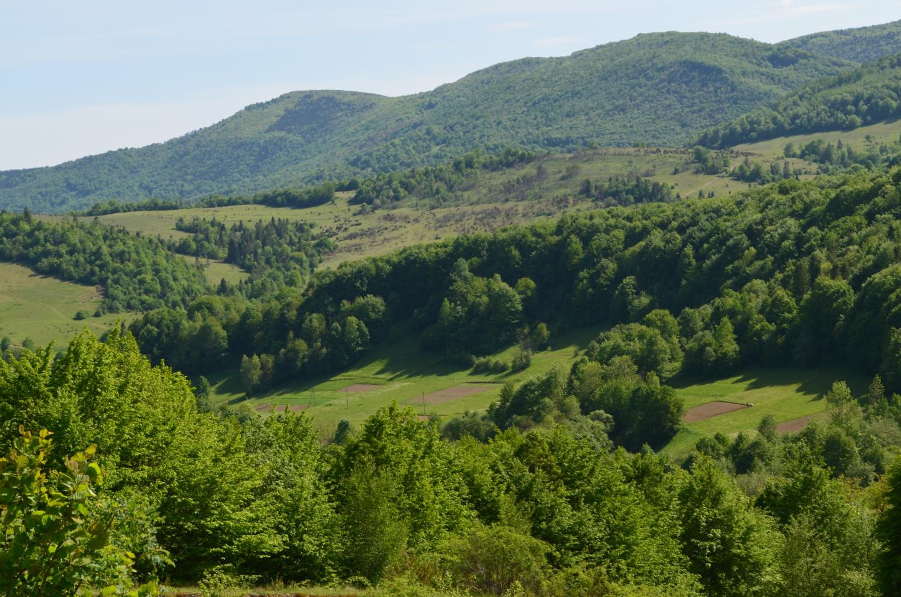 Photo 44