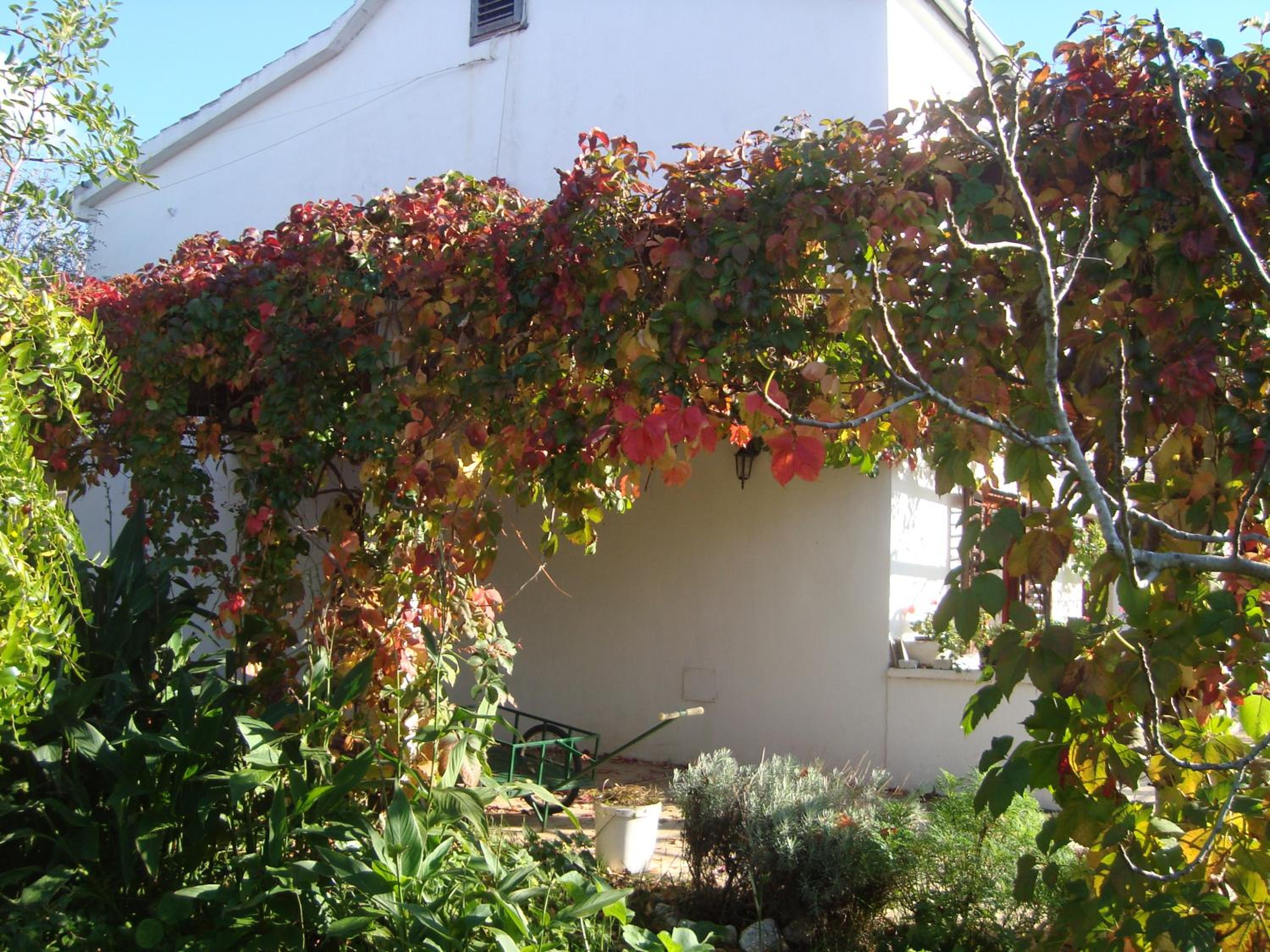 Apartments Lovor