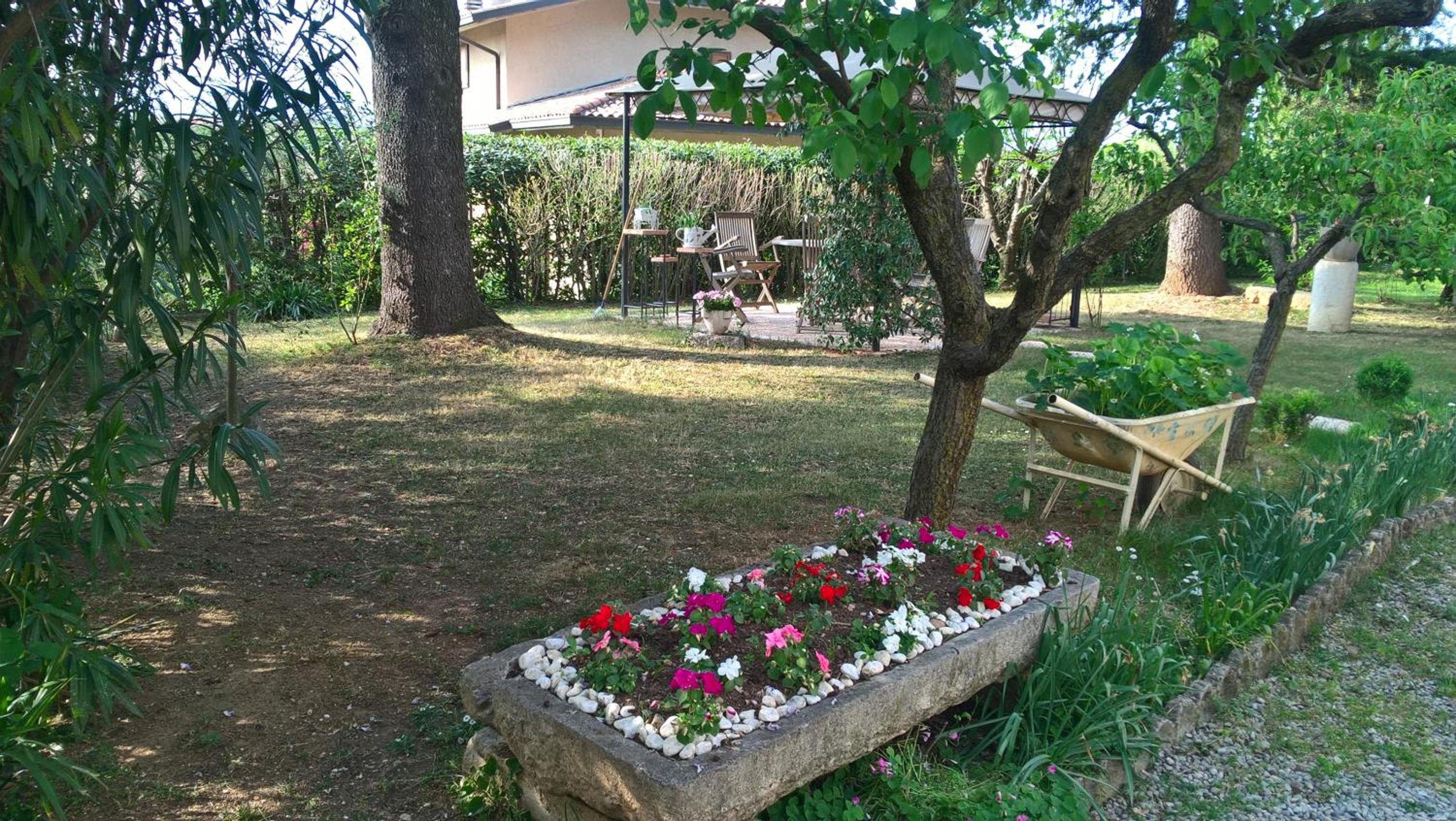 Photo 16