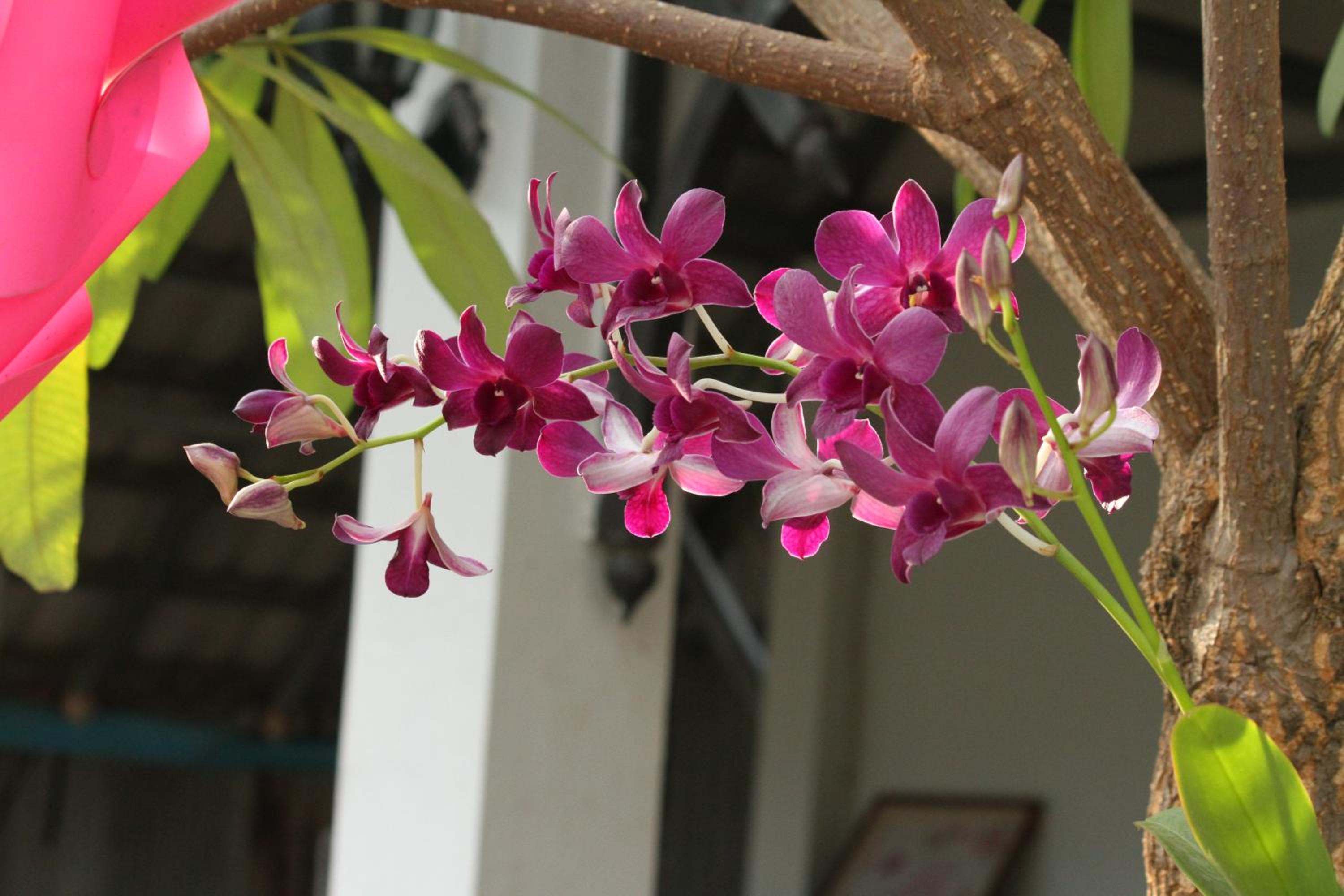 My Parents Guesthouse