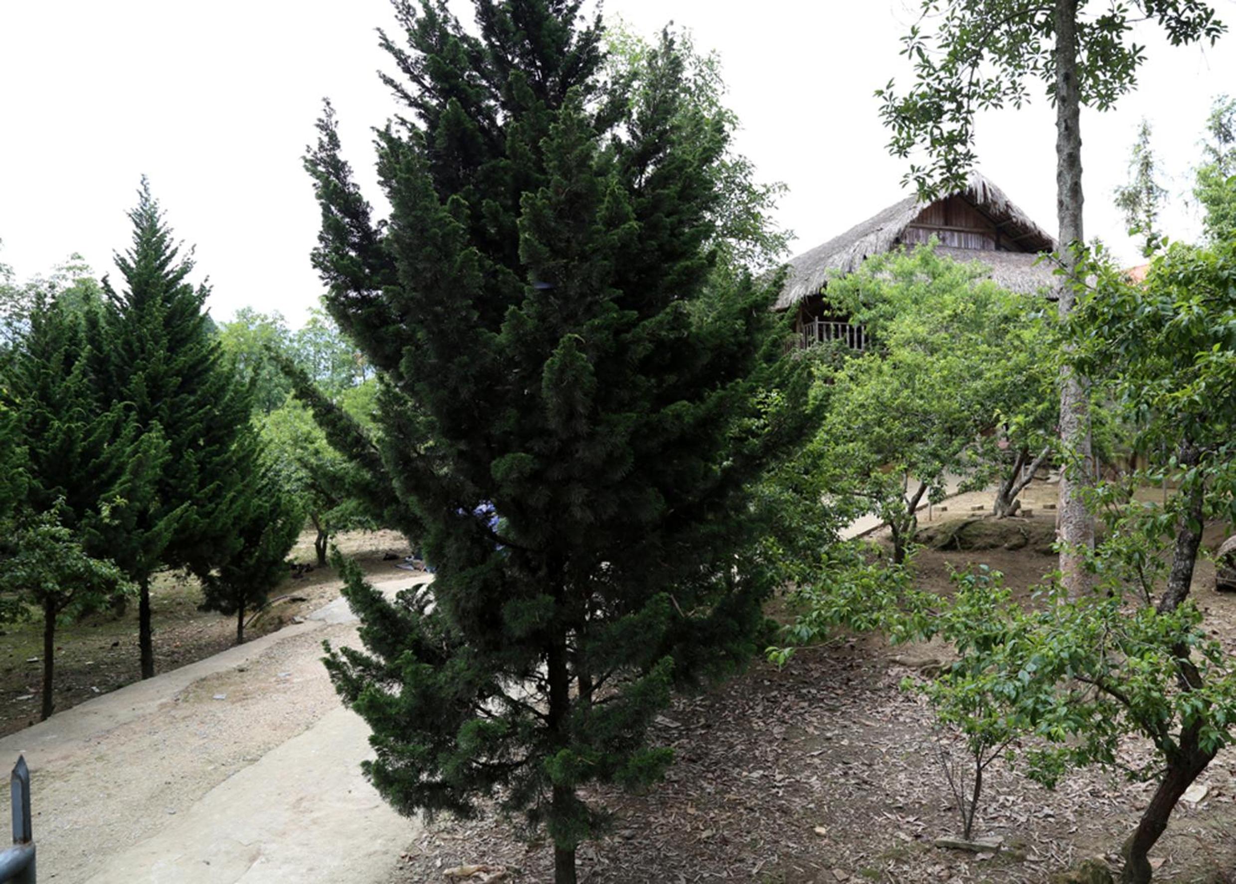 Sa House Bac Ha
