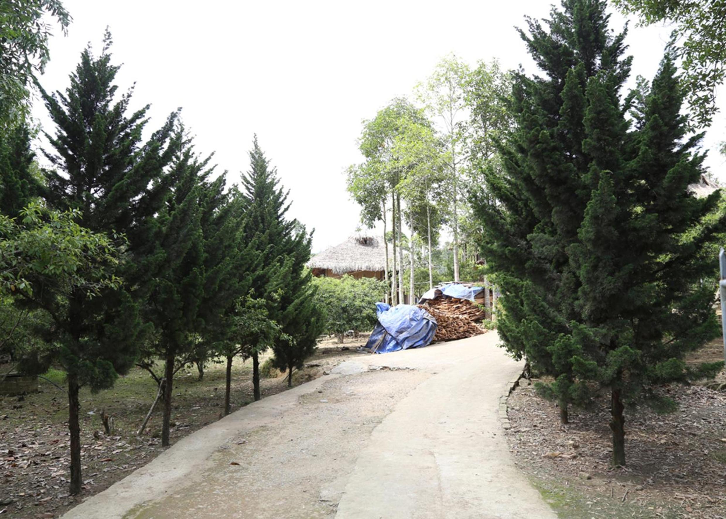 Sa House Bac Ha
