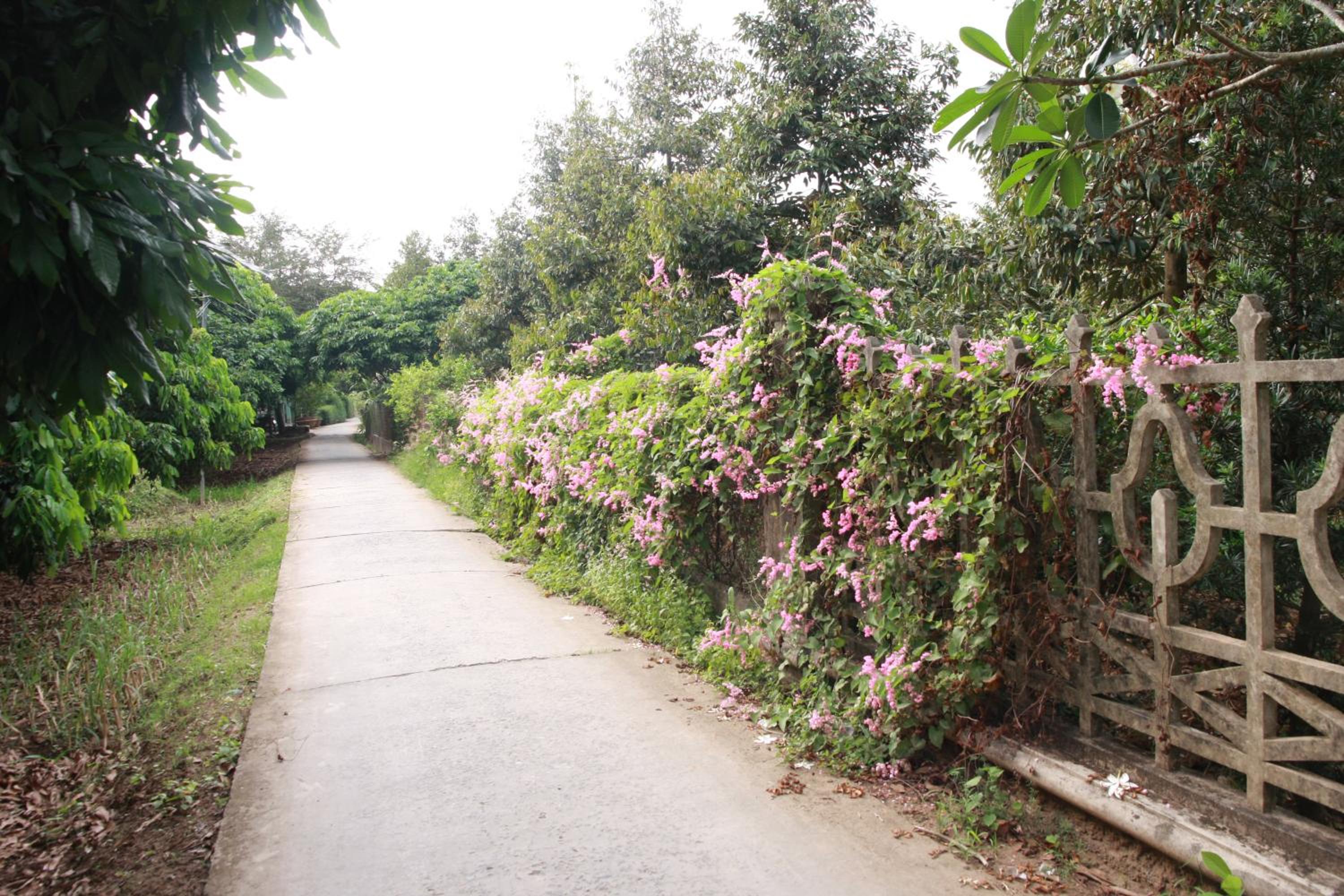 Mekong Rustic Cai Be