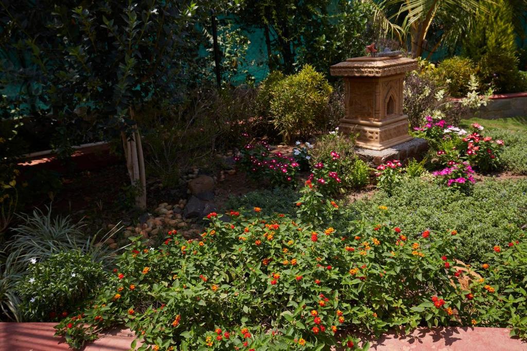 garden