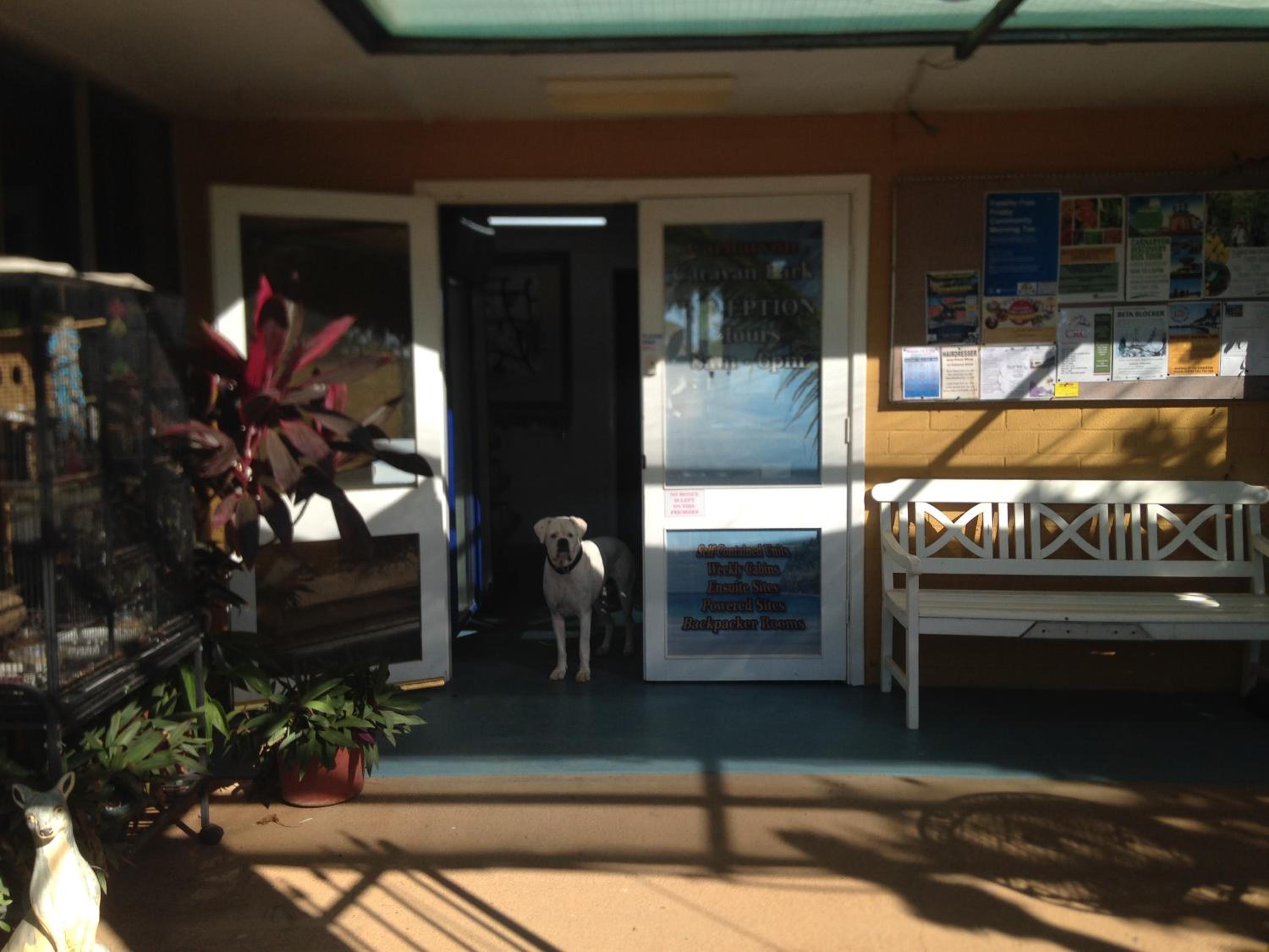 Carnarvon Caravan Park view 5