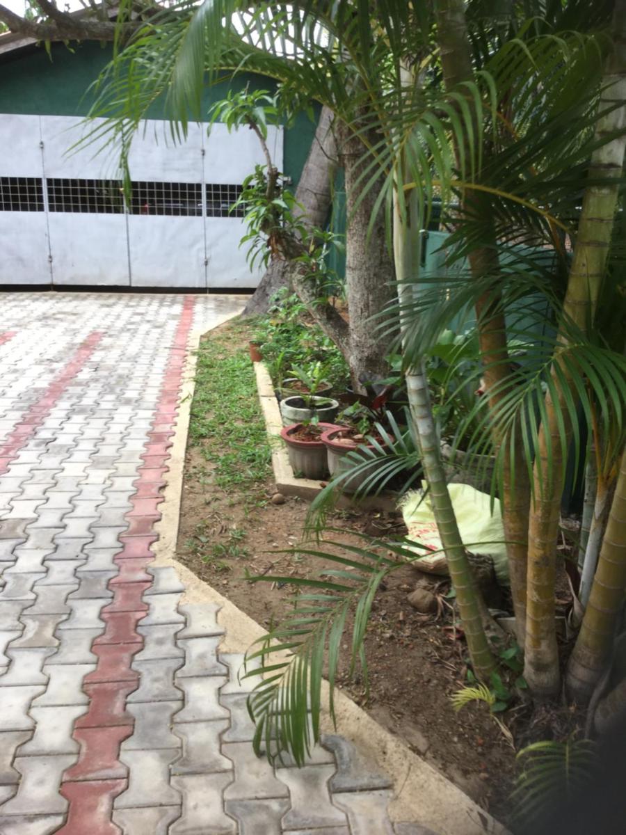 Photo 31