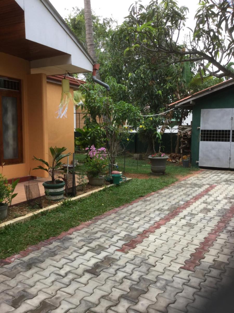 Photo 32