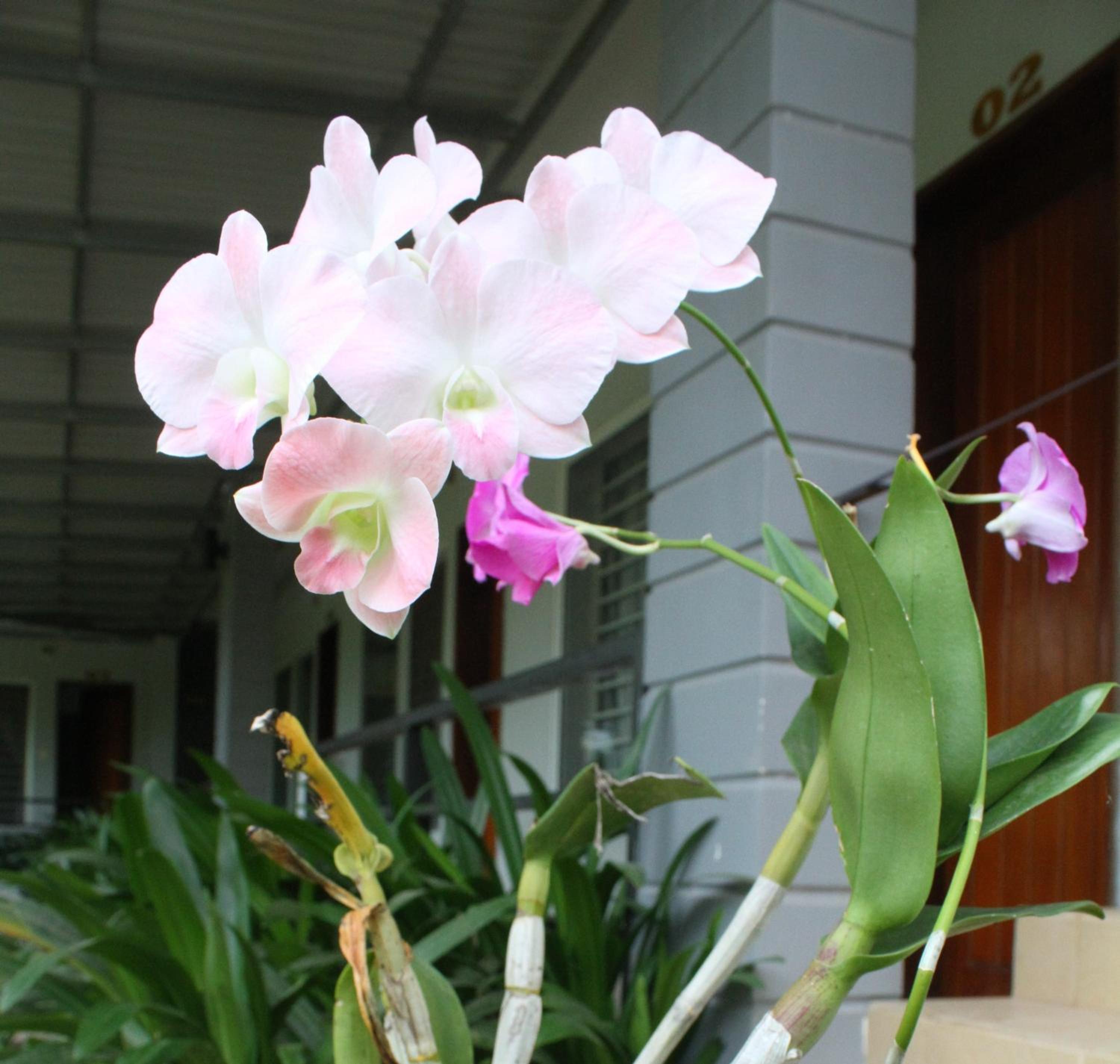 My Parents Guesthouse