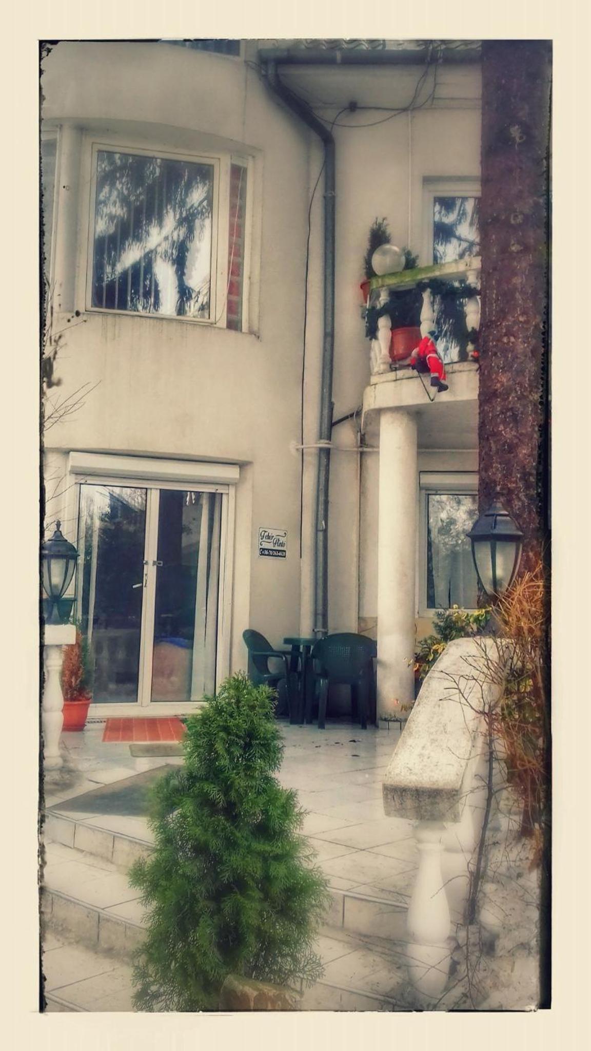 Photo 46