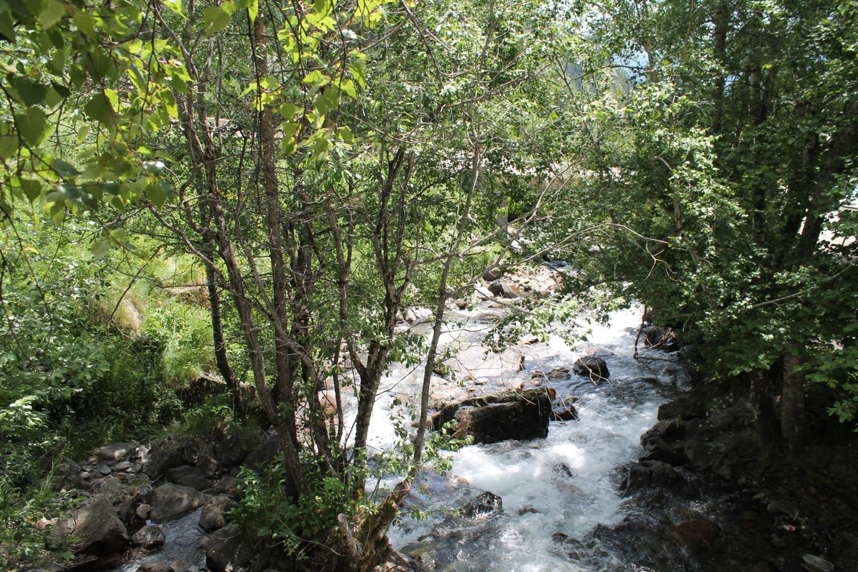 Xalet Les Avellanes - hut 7335