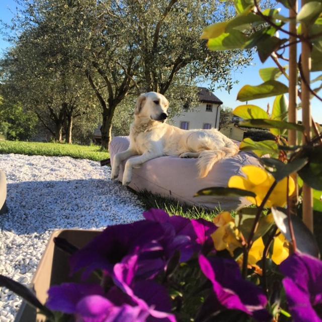 Agriturismo Casa Aurora