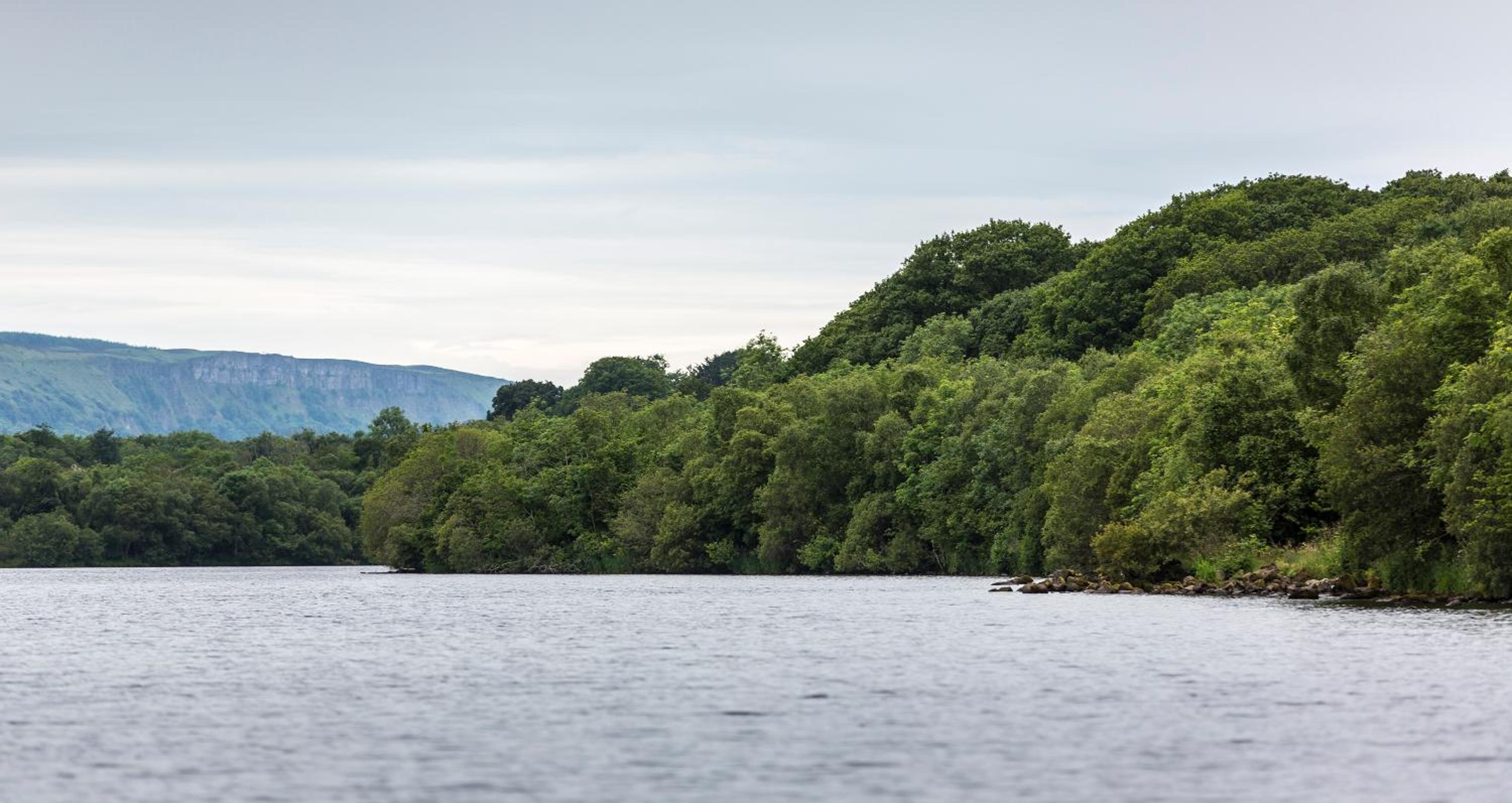 Lusty Beg Island