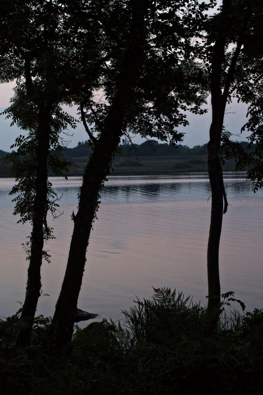 Lusty Beg Island