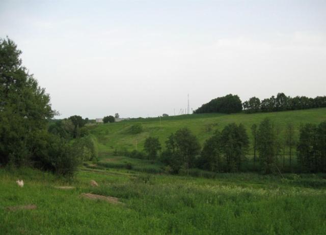 Photo 24