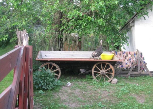 Photo 25