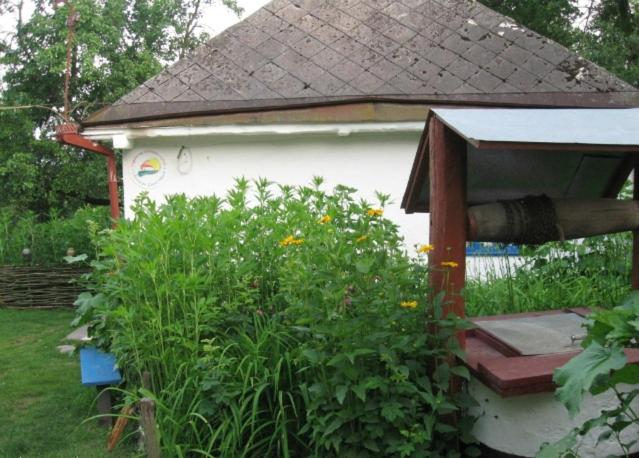 Kалиновий Kущ view 3