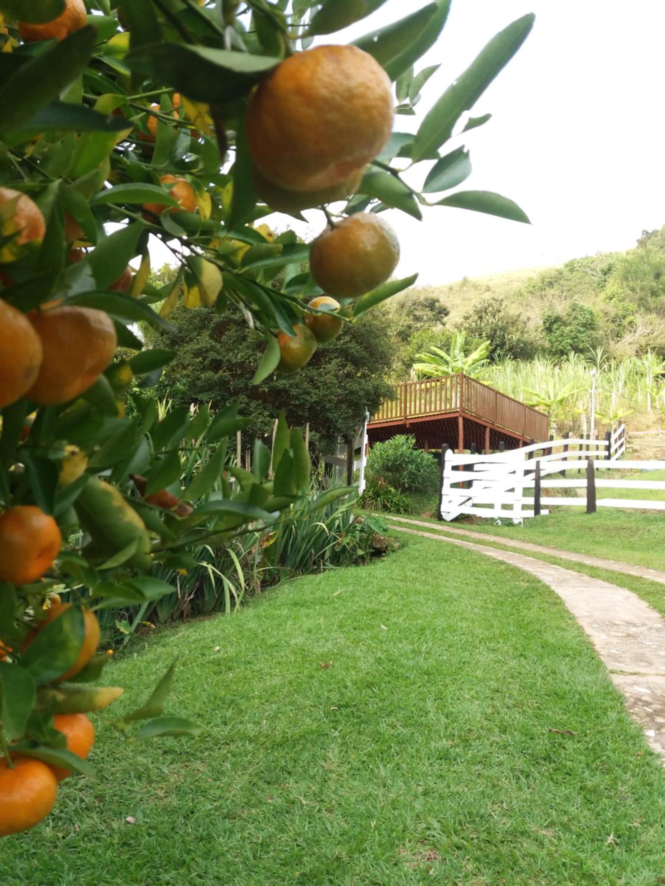 Sítio da Dinda - Campos do Jordão