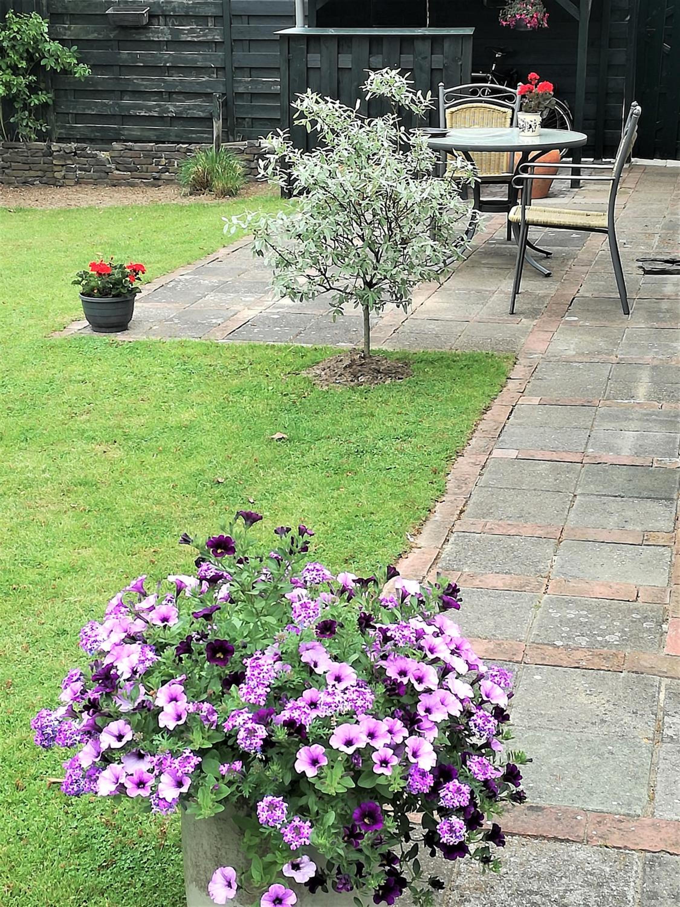 Photo 14