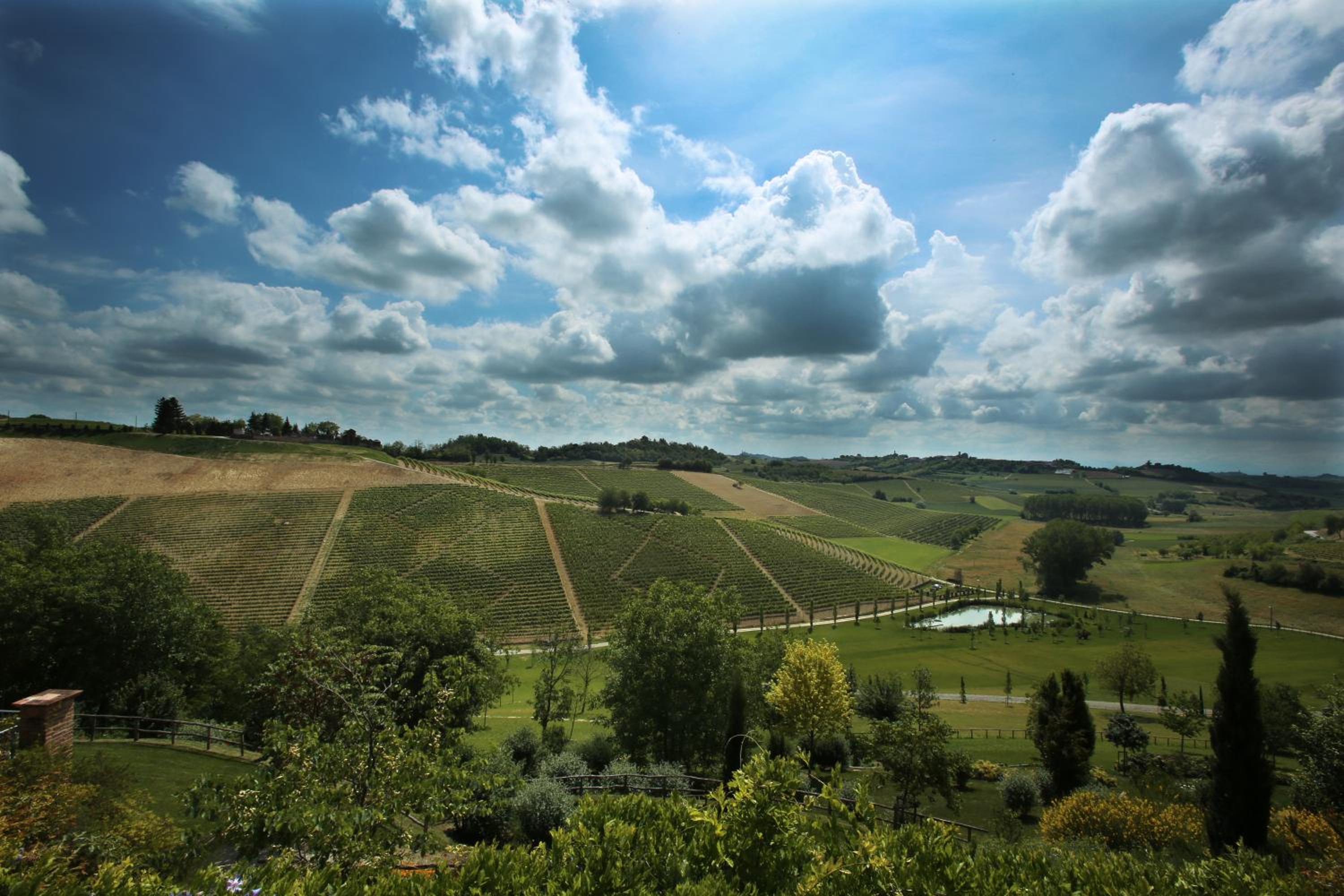 Relais di Tenuta Santa Caterina B&B