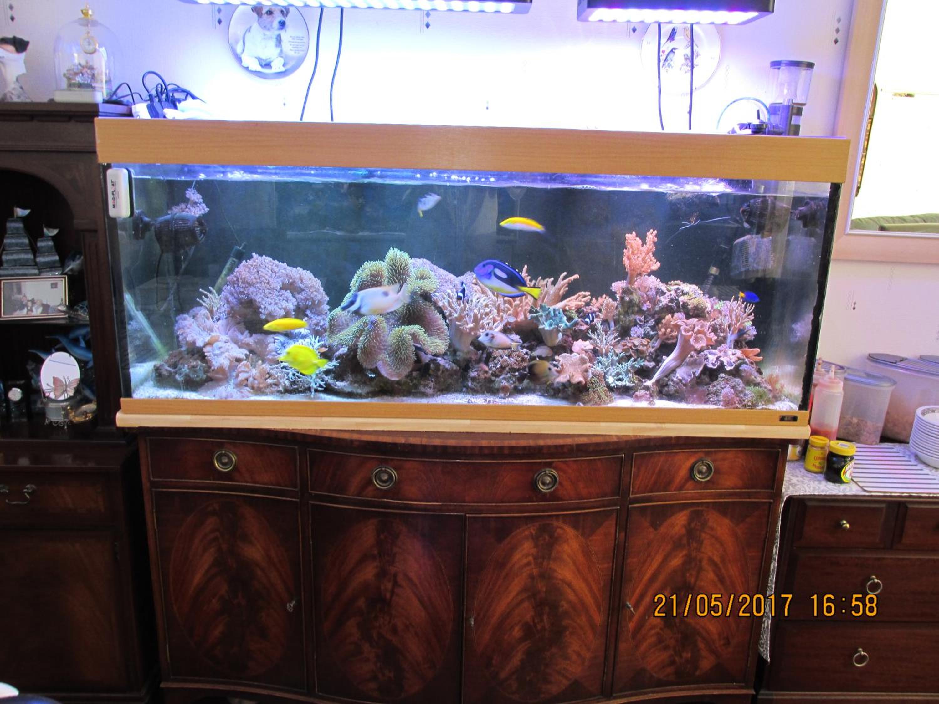 Photo 38