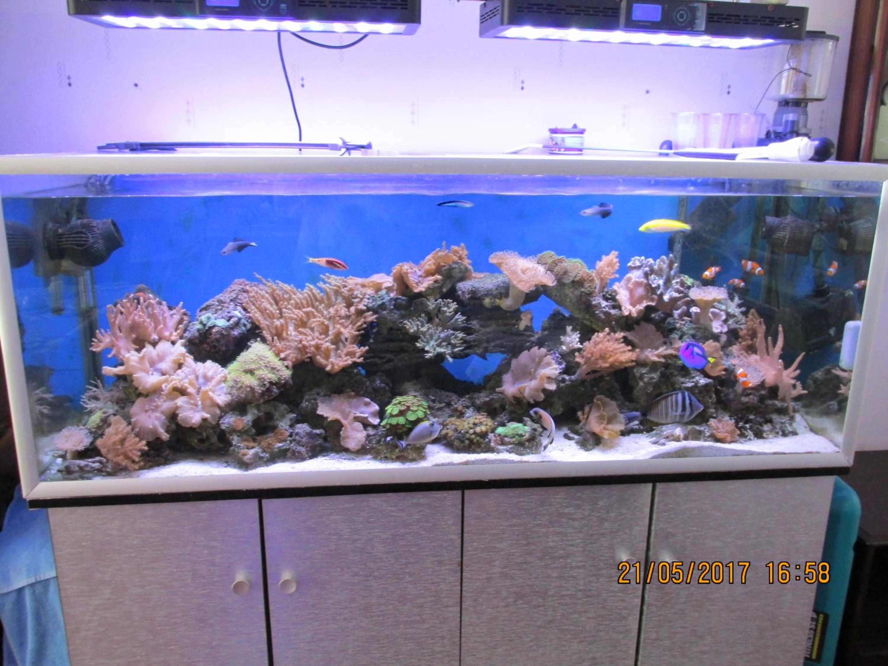 Photo 37