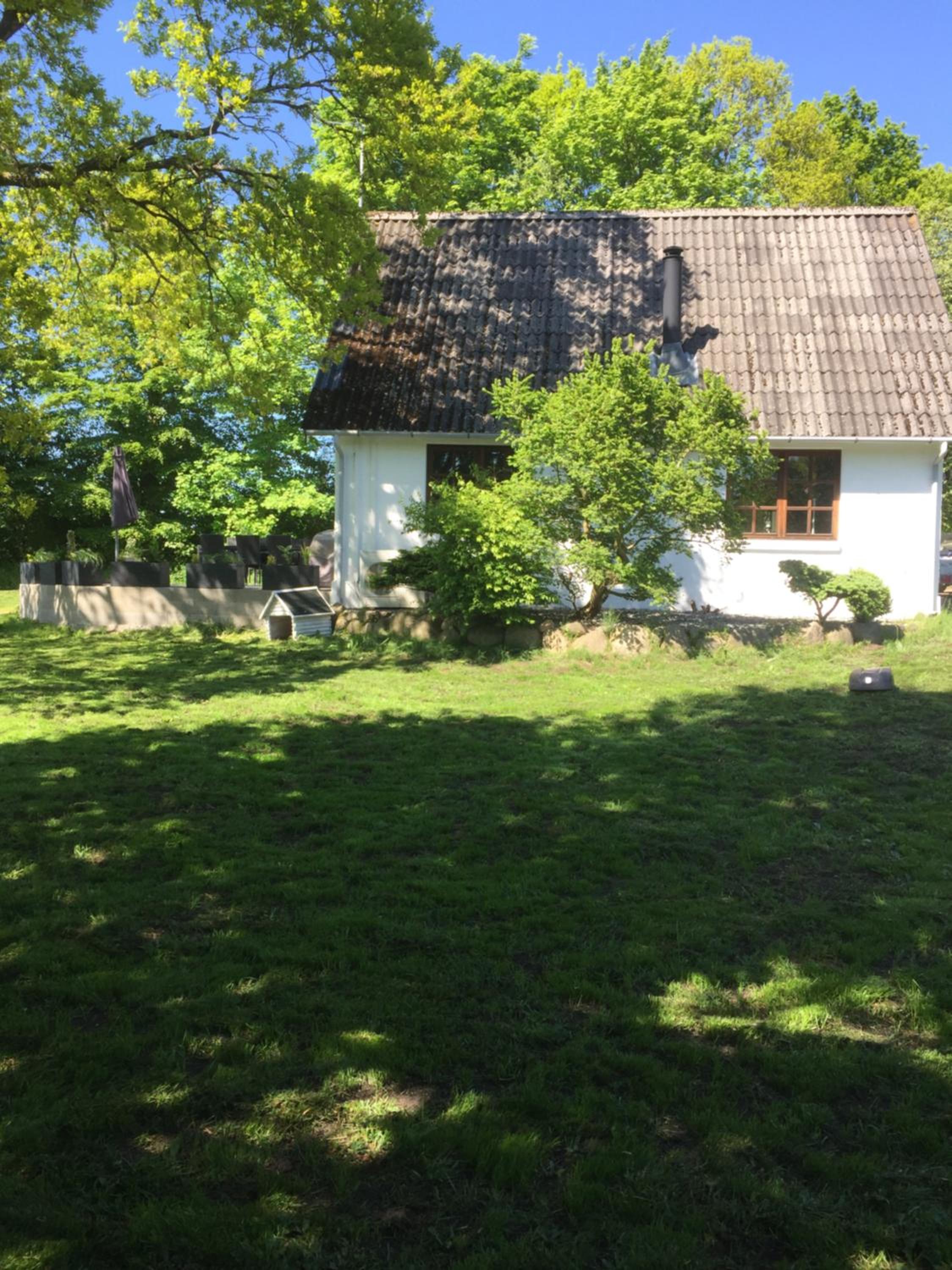 Photo 8