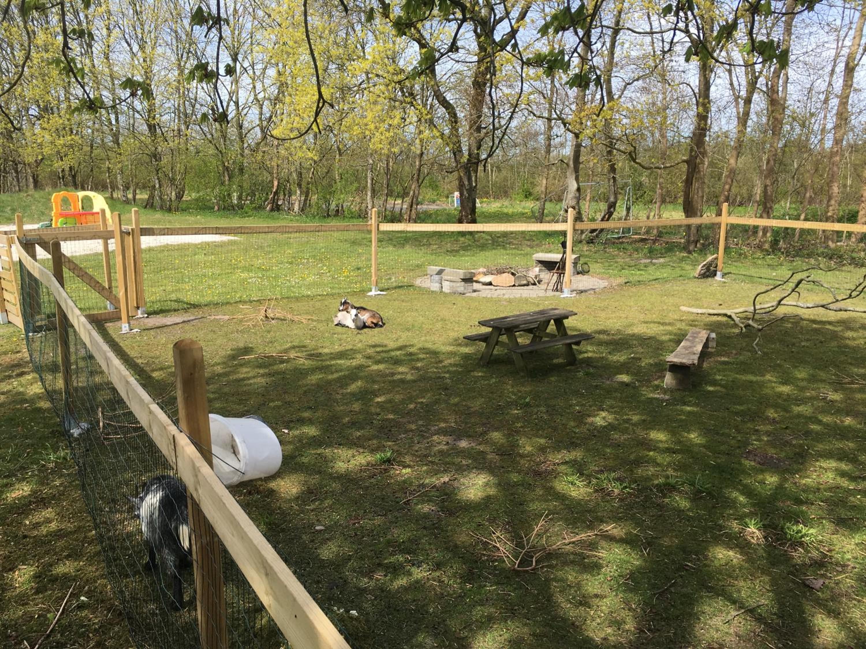 Hestkær Family Rooms Summer Camp