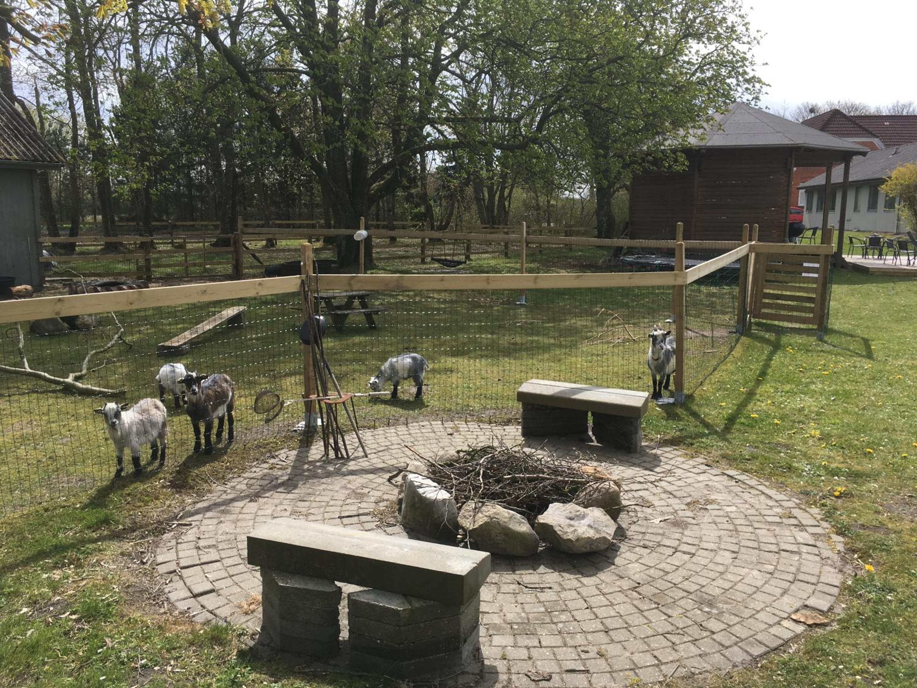 Hestkær Family Rooms Summer Camp