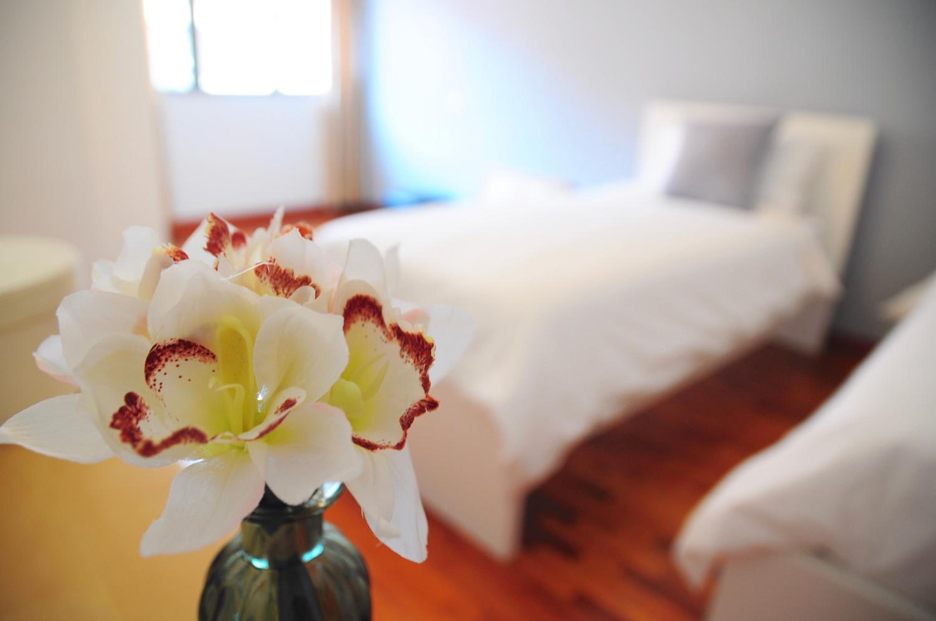 GRAYHAUS Guest House