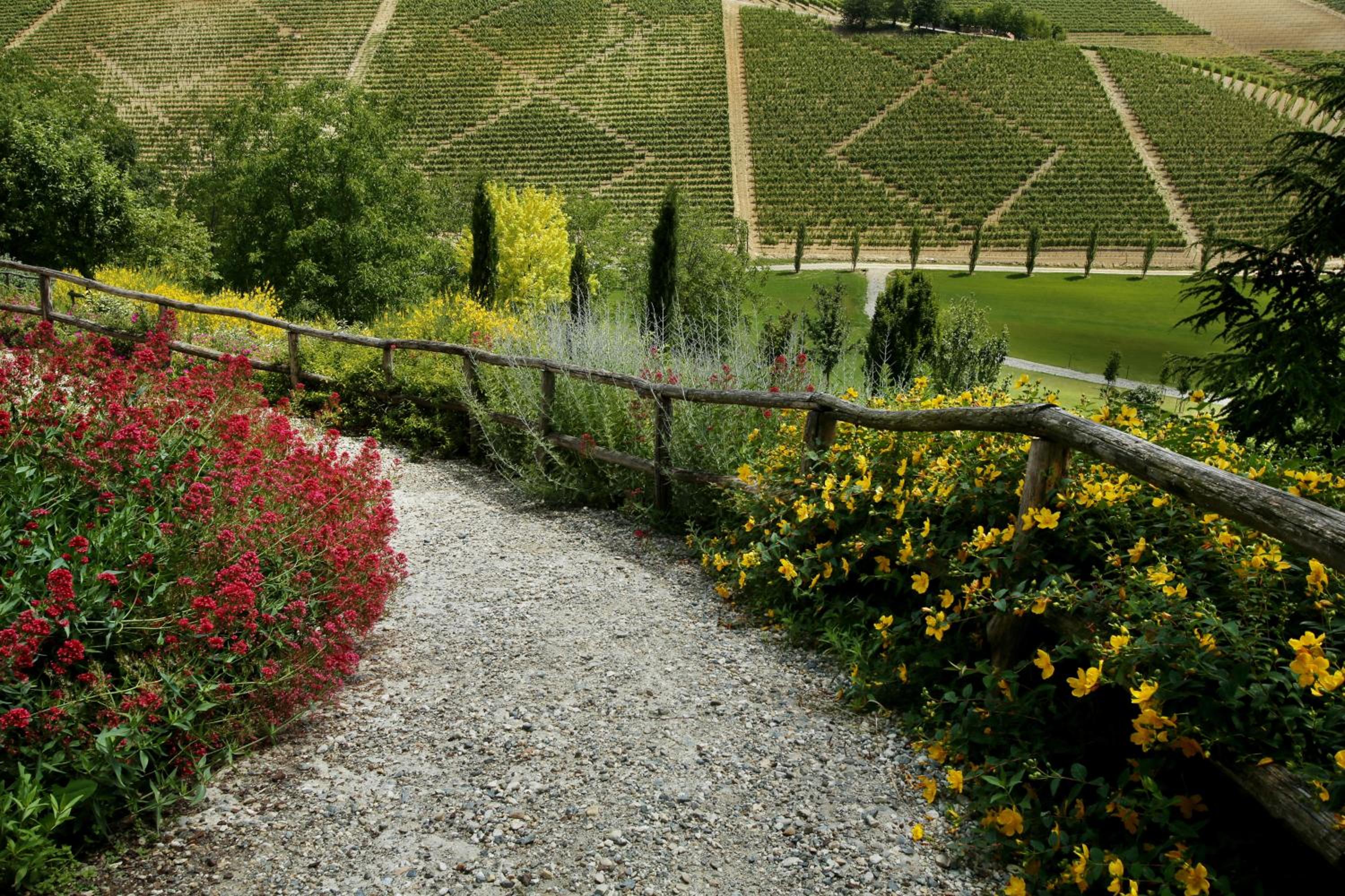 Relais di Tenuta Santa Caterina B&B