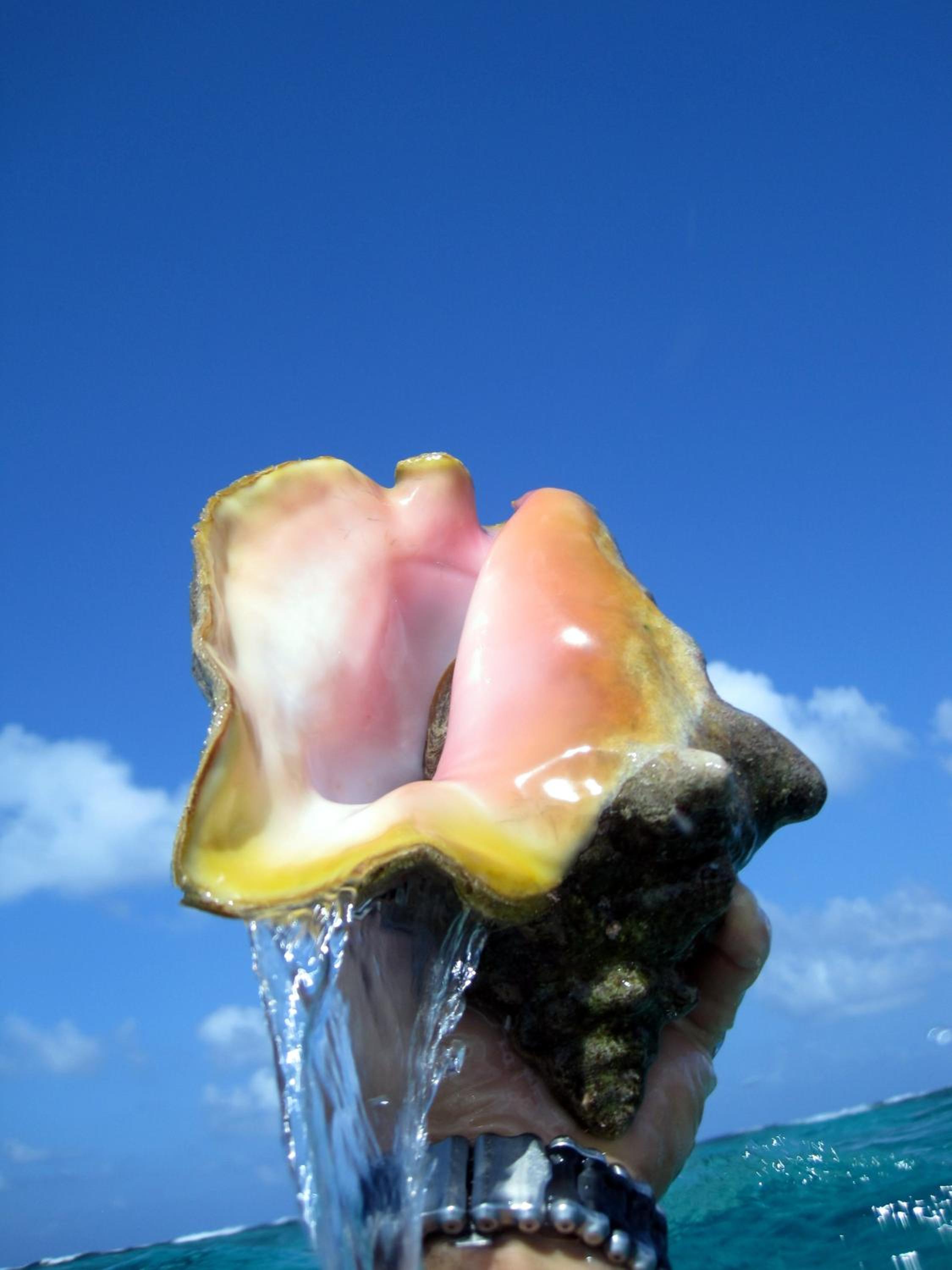 Photo 47