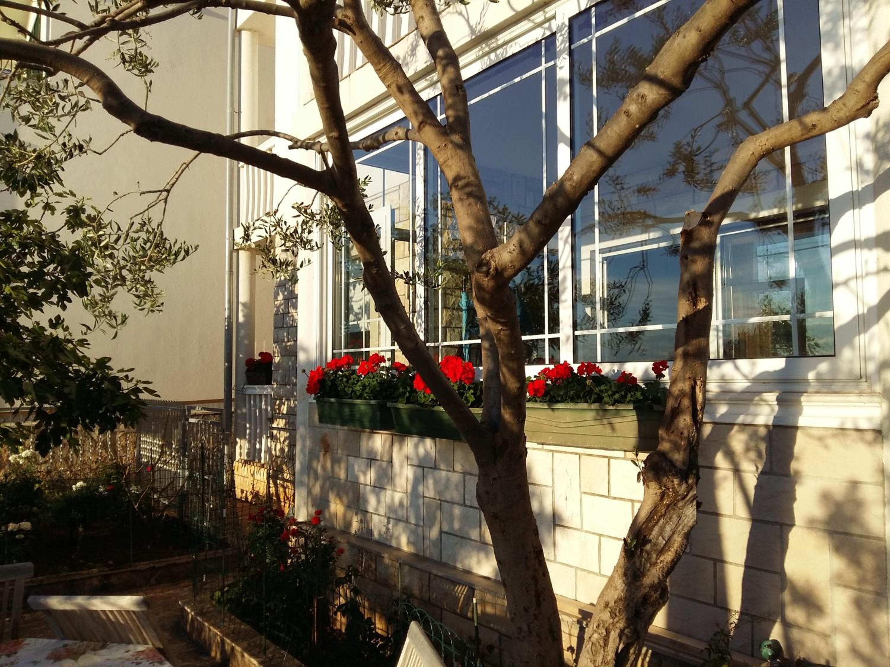 Photo 31