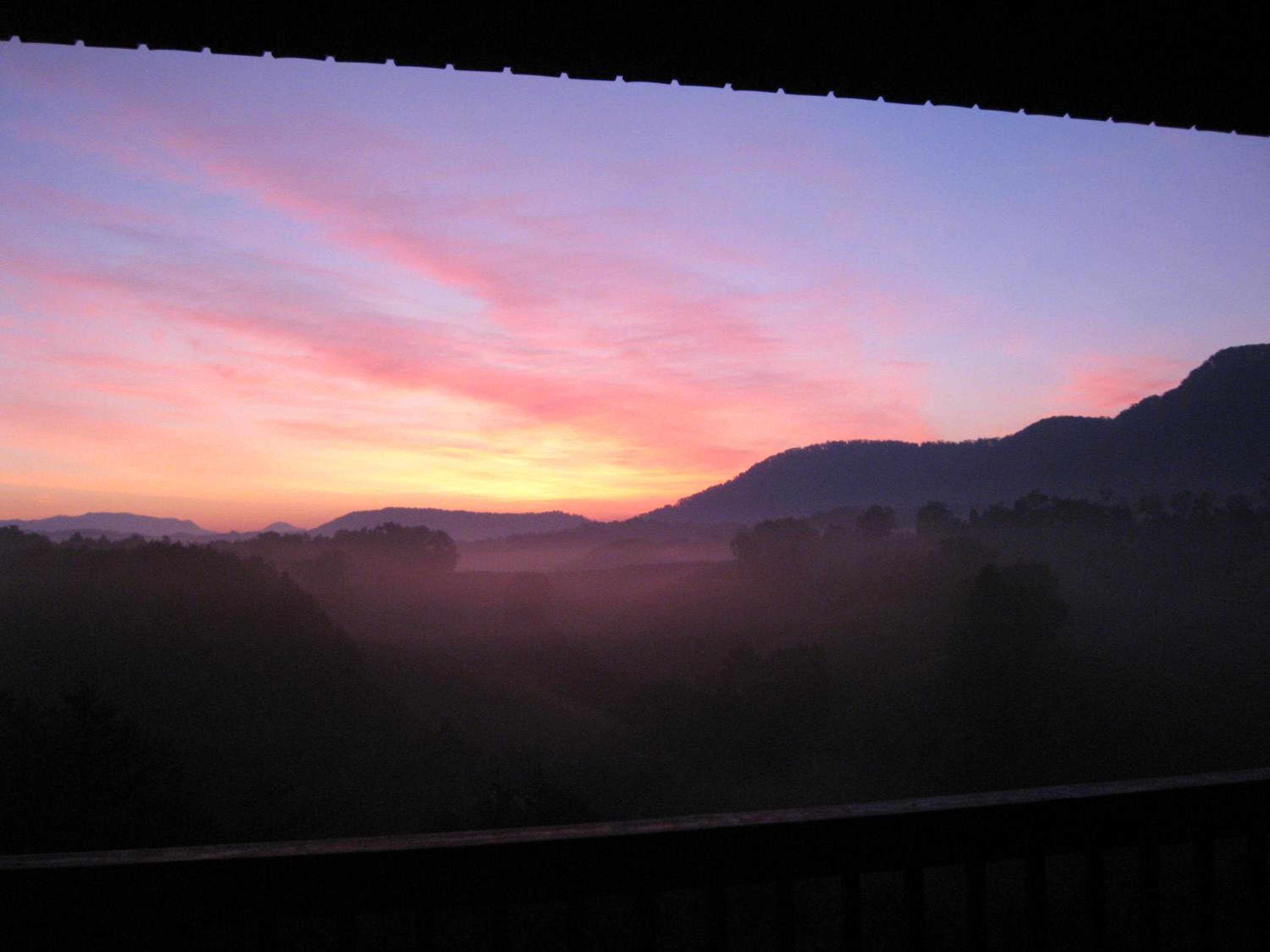 Photo 48