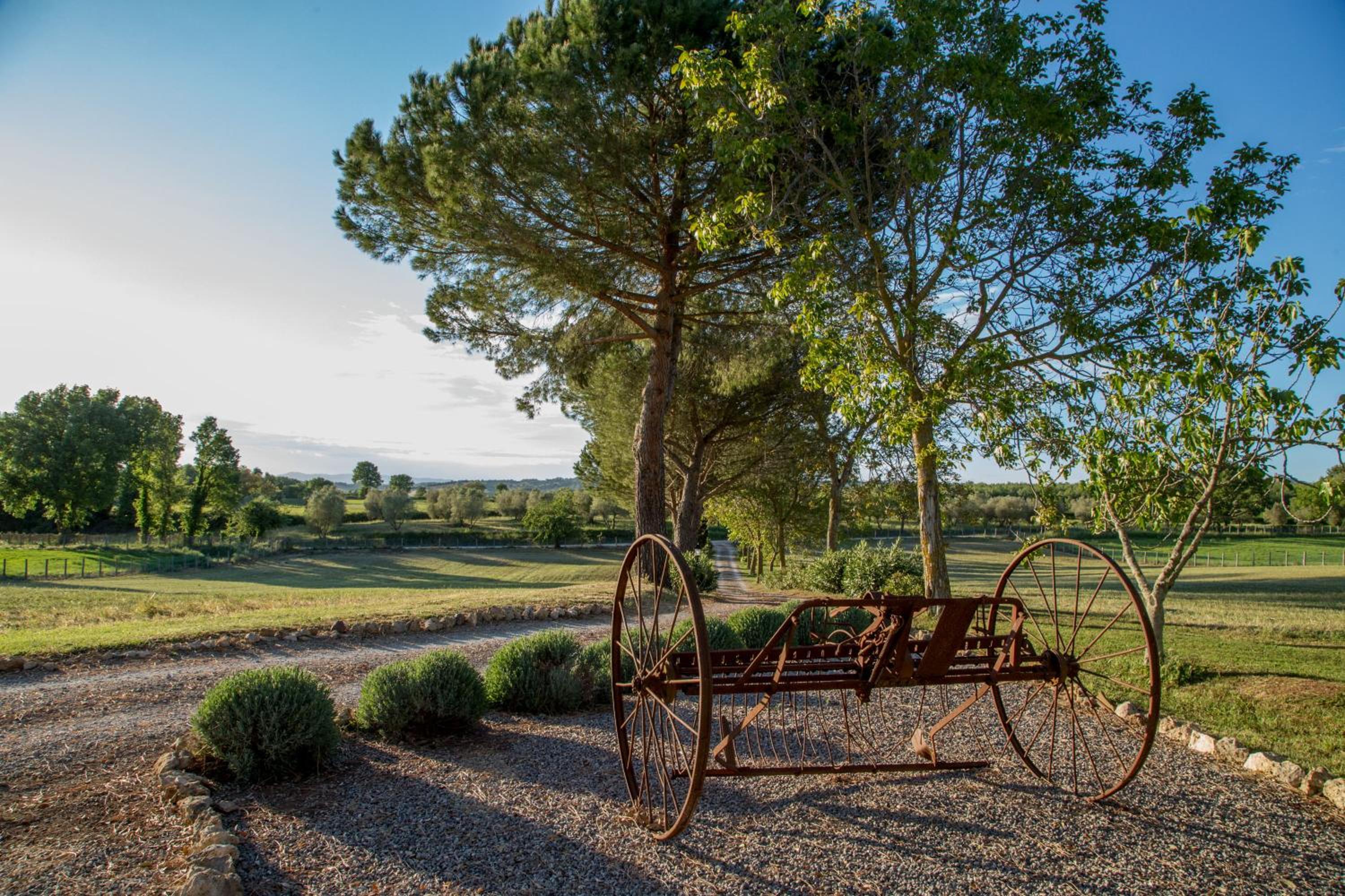 B&B Borgo Vera