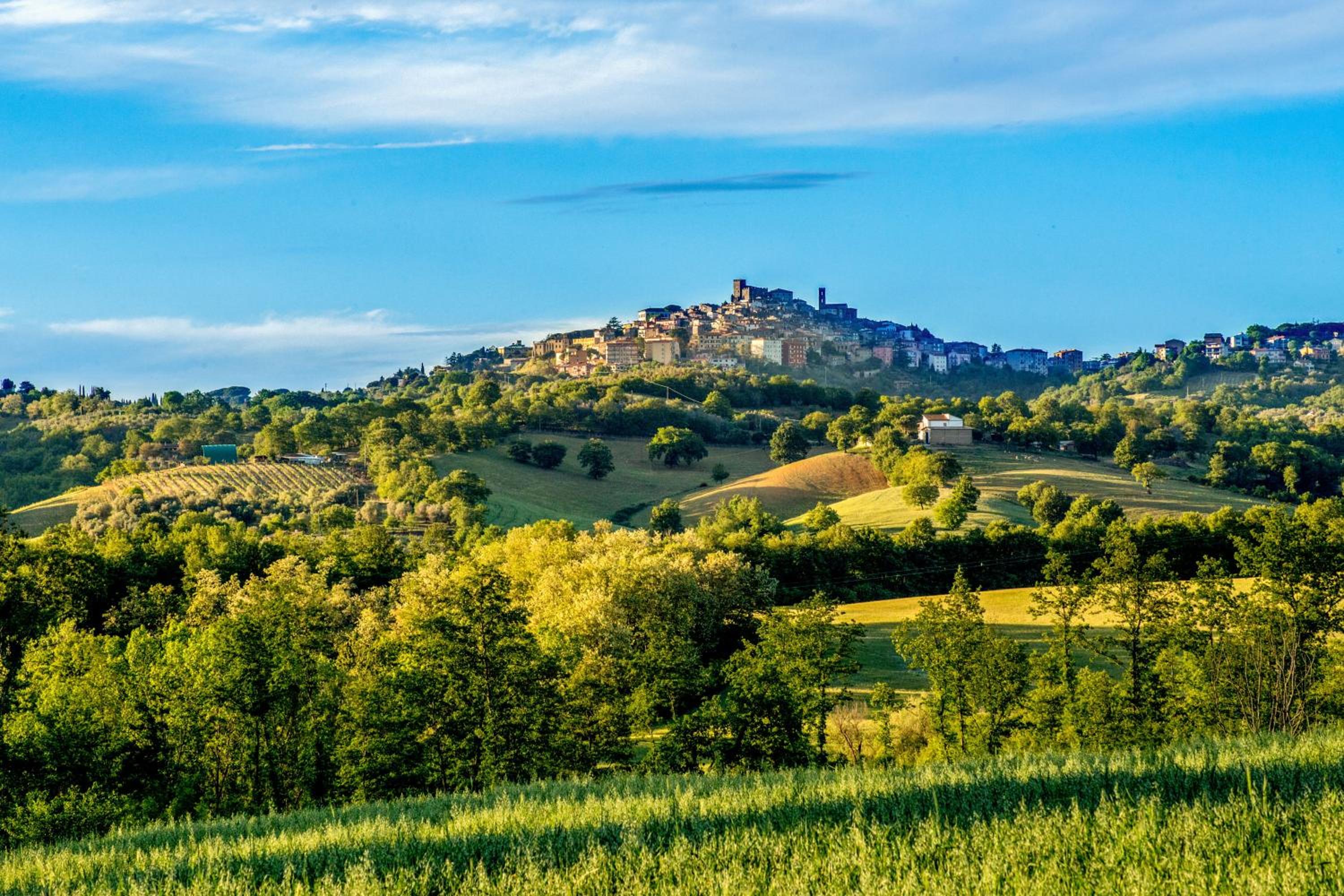 B&B Borgo Vera