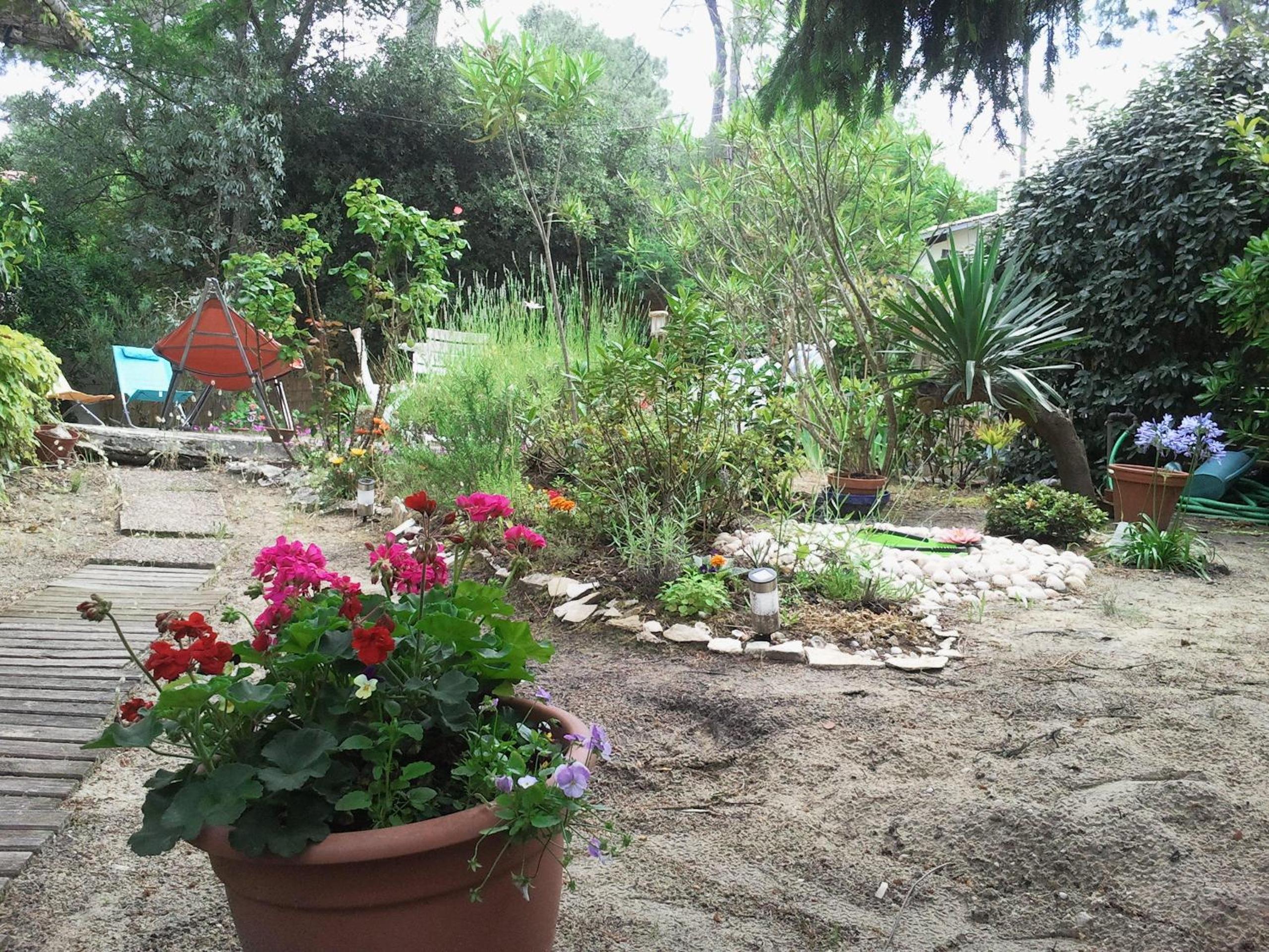 Photo 14